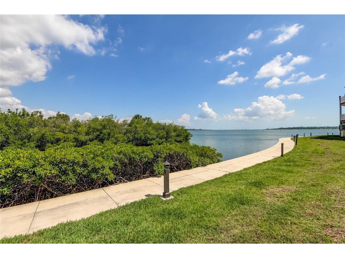 163 Brent Circle Oldsmar FL 34677 - OLD TAMPA BAY TB8401387 image46