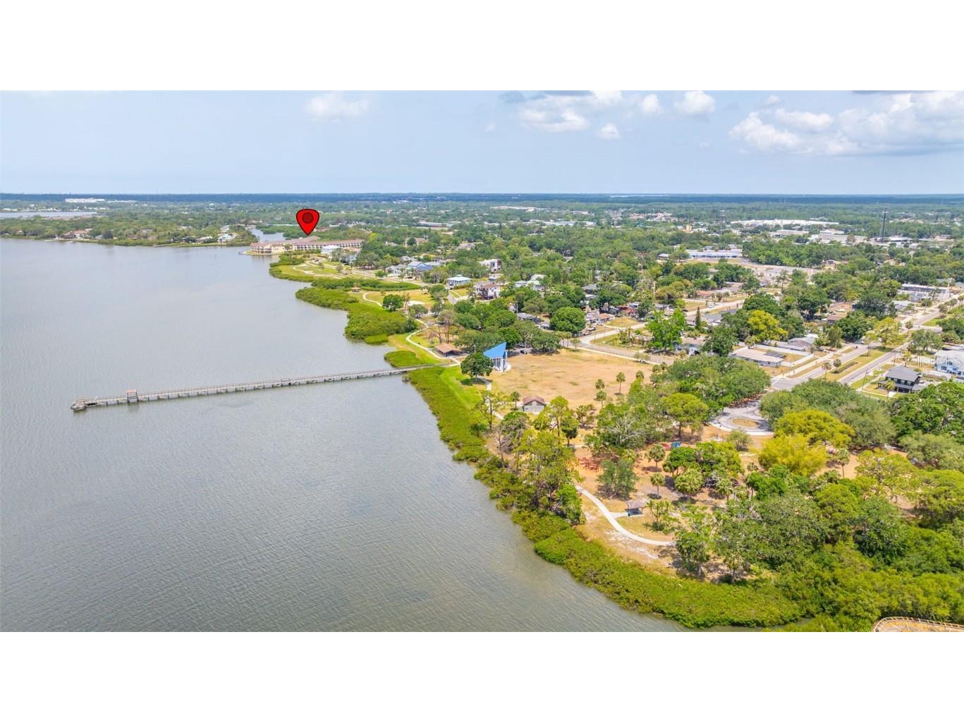 163 Brent Circle Oldsmar FL 34677 - OLD TAMPA BAY TB8401387 image48