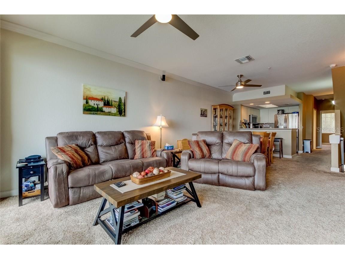 163 Brent Circle Oldsmar FL 34677 - OLD TAMPA BAY TB8401387 image5