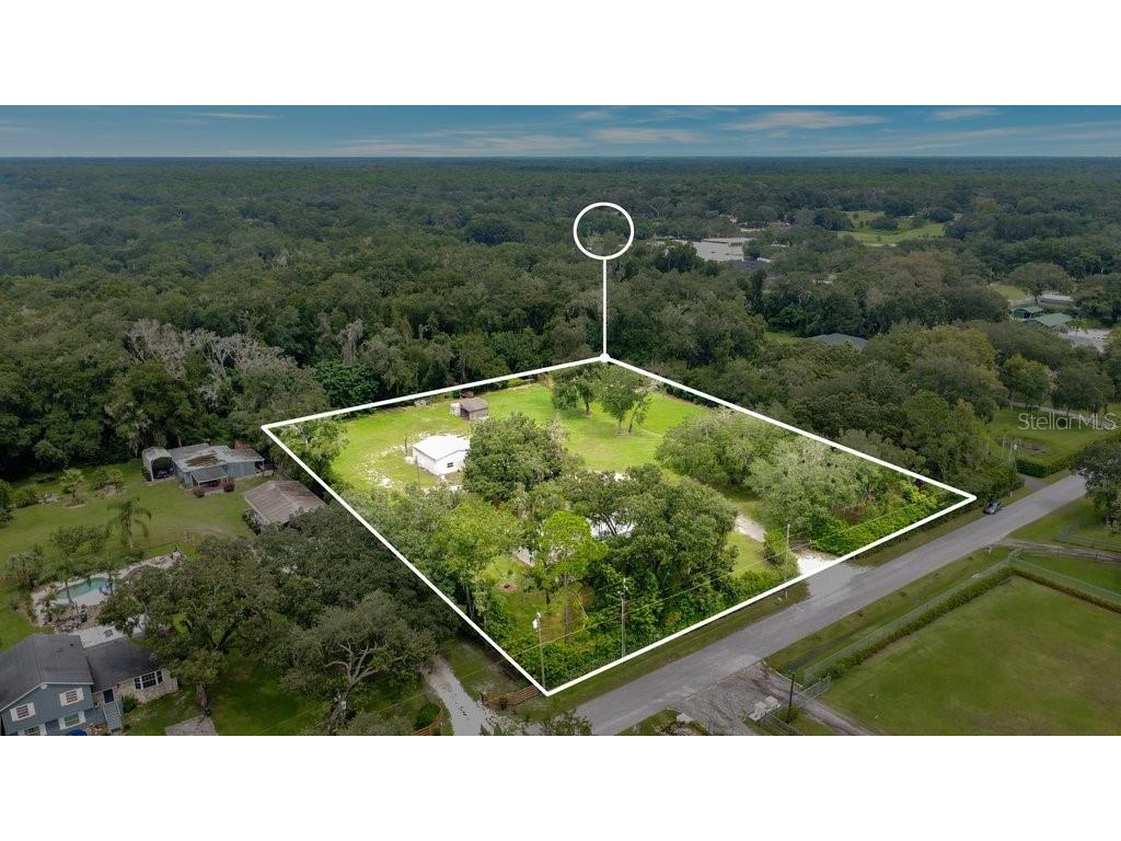 163 Faye Street Apopka FL 32712 O6059074 image1