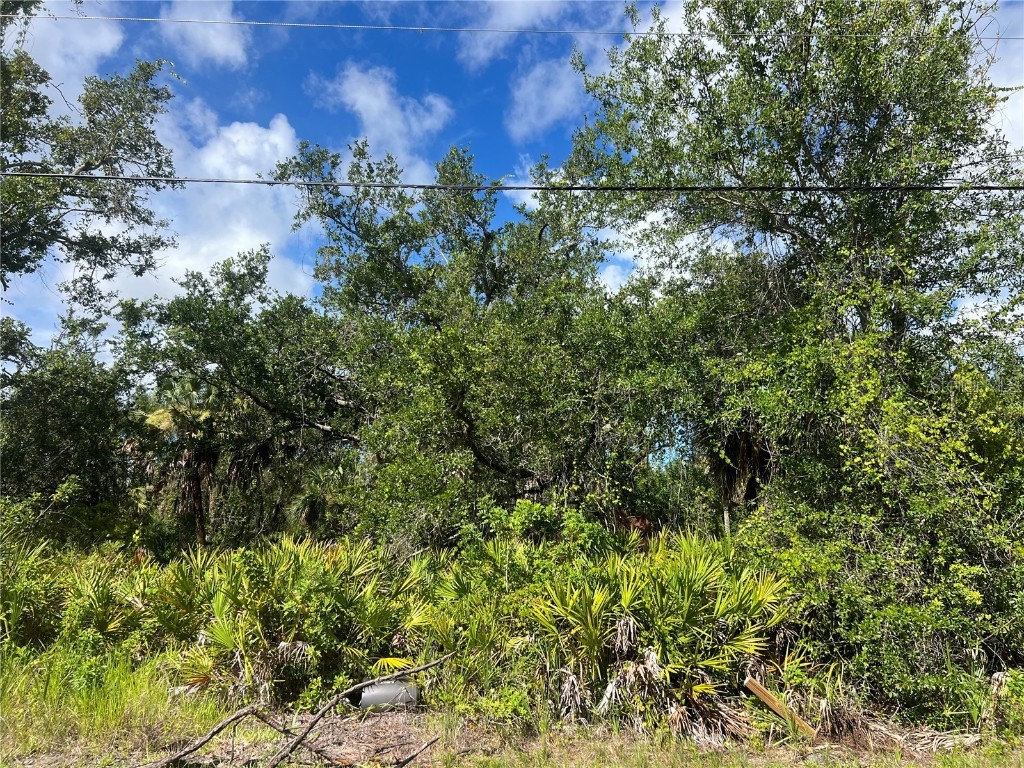 163 Hardee Way Rotonda West FL 33947 C7513135 image2