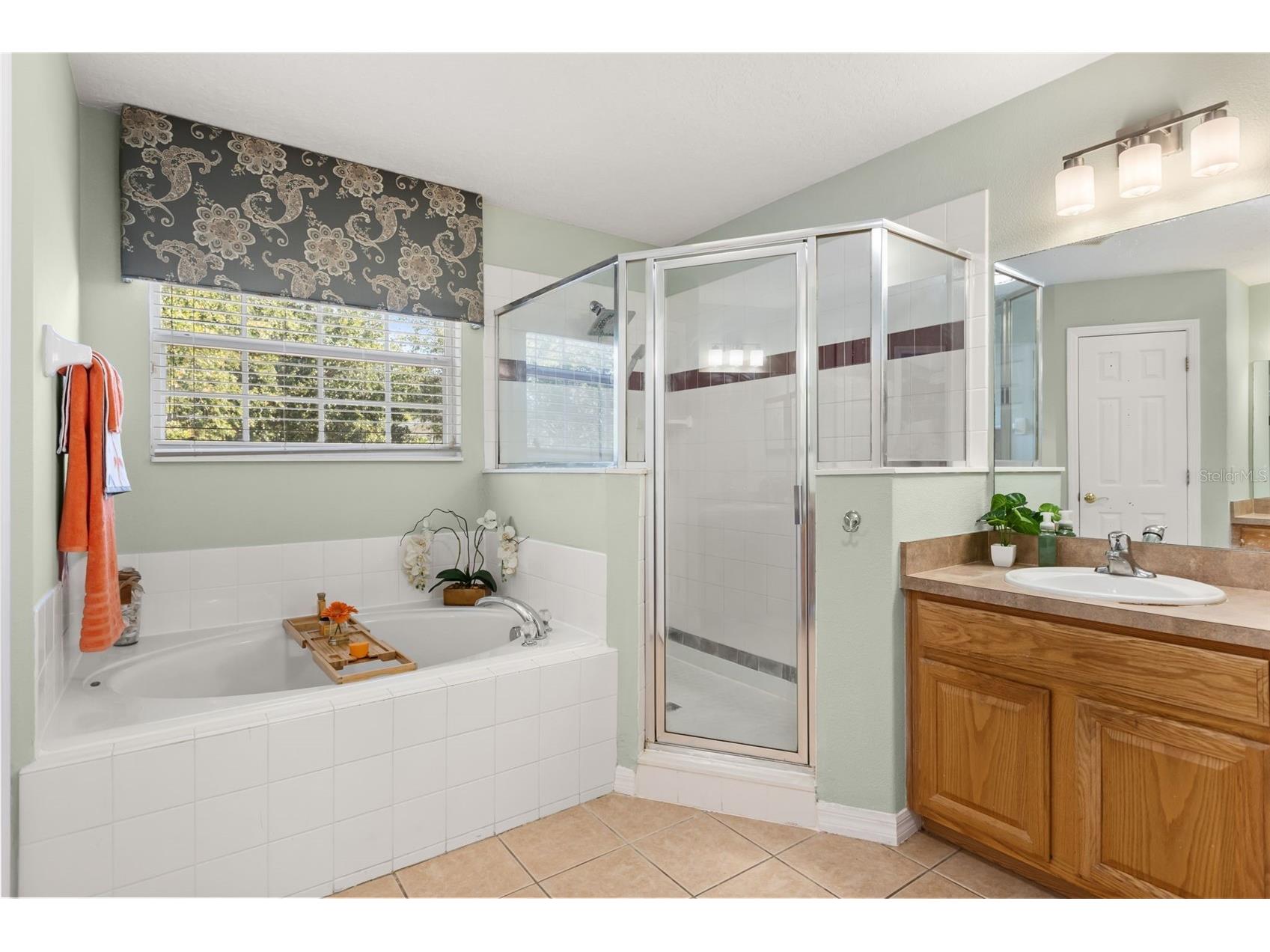 163 Highgate Park Boulevard Davenport FL 33897 O6409488 image25