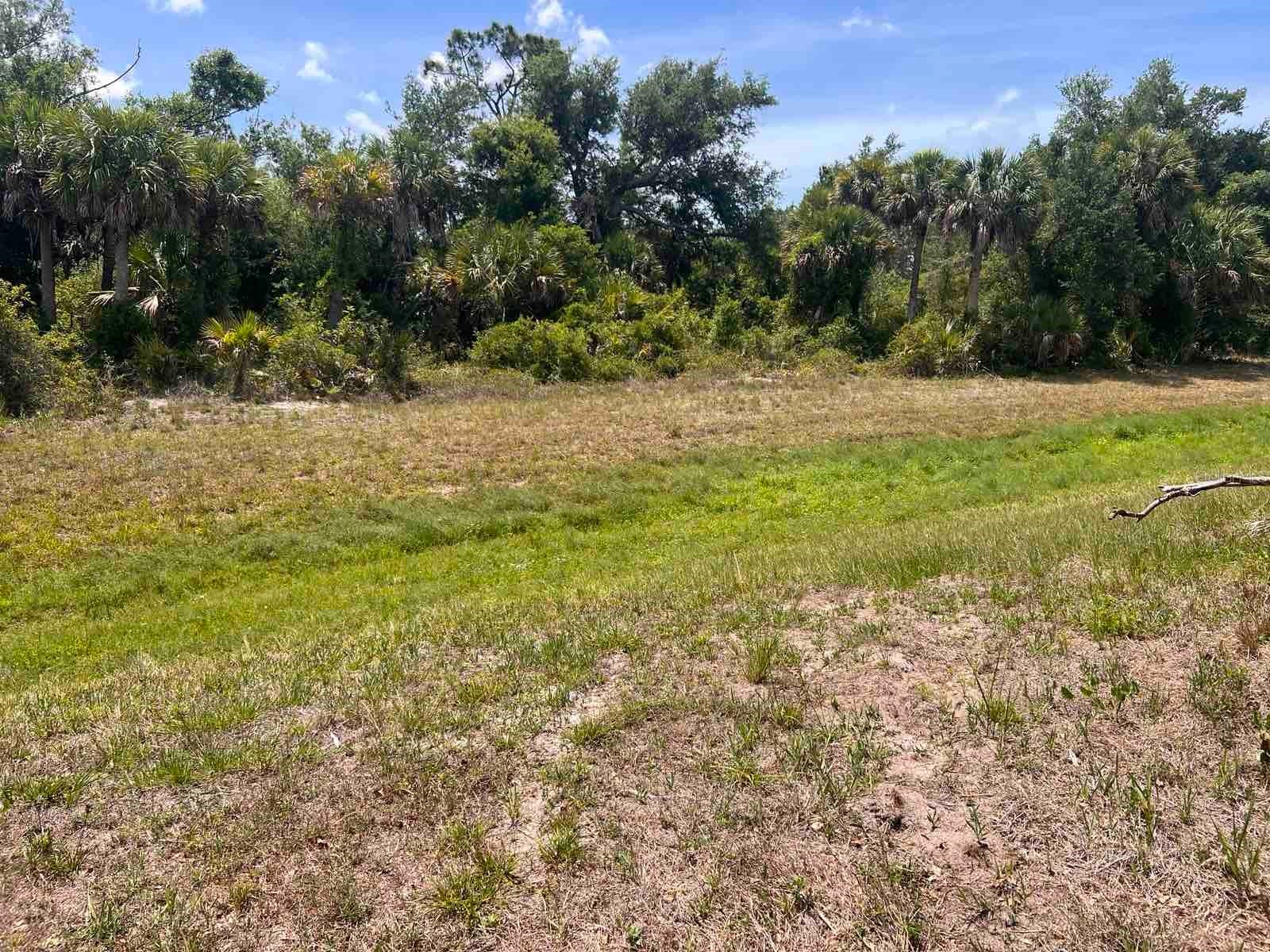 163 Mariner Lane Rotonda West FL 33947 N6144263 image3