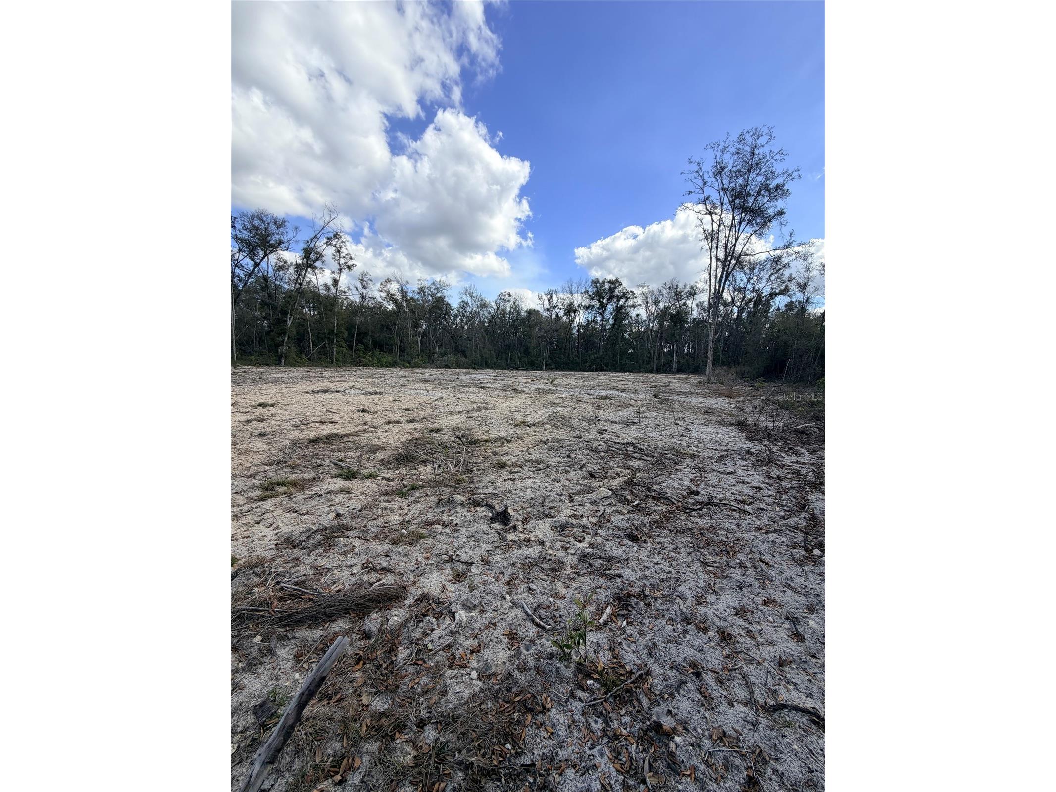 163 NE 159th Avenue Old Town FL 32680 TB8483279 image10