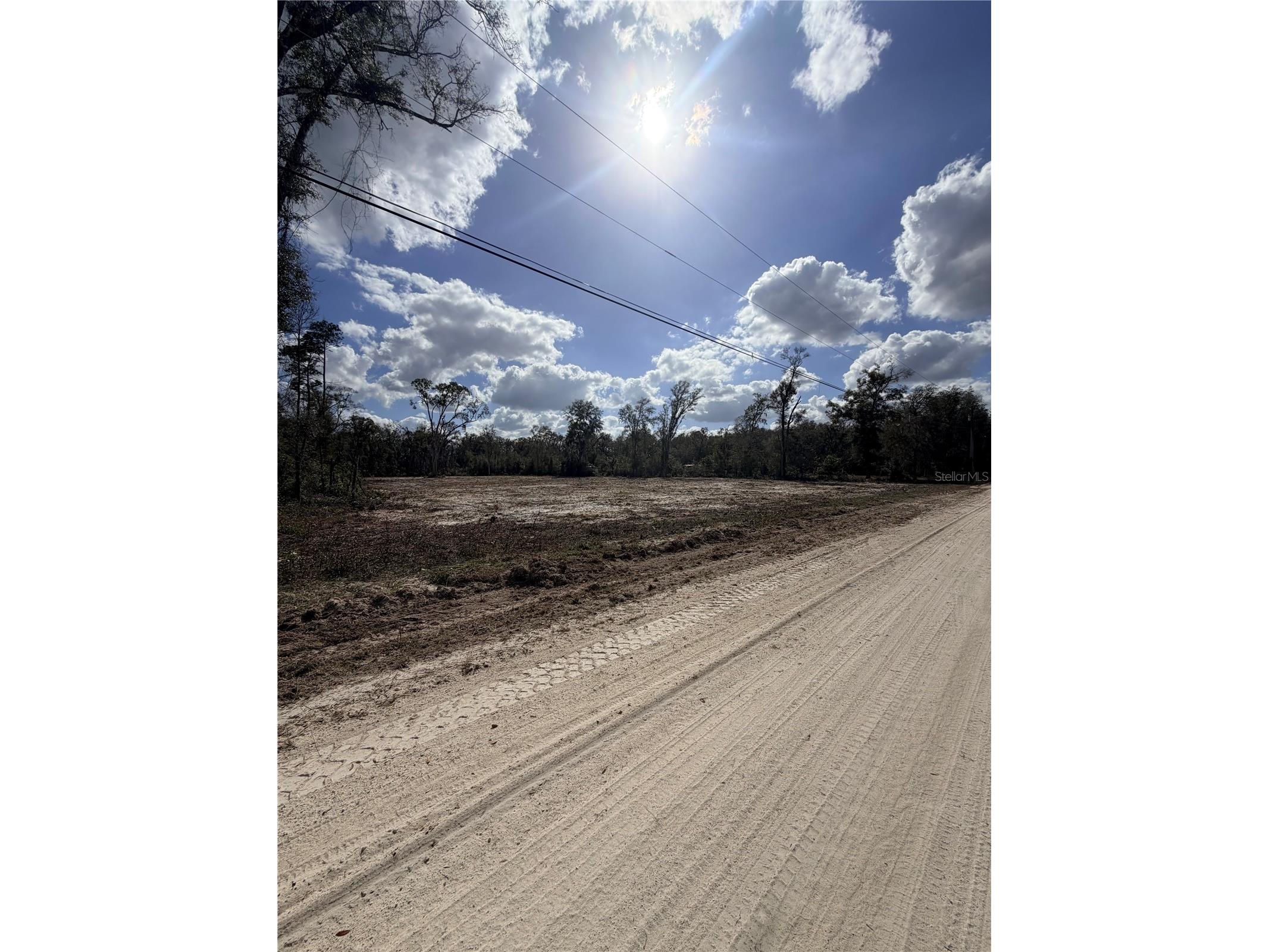 163 NE 159th Avenue Old Town FL 32680 TB8483279 image2