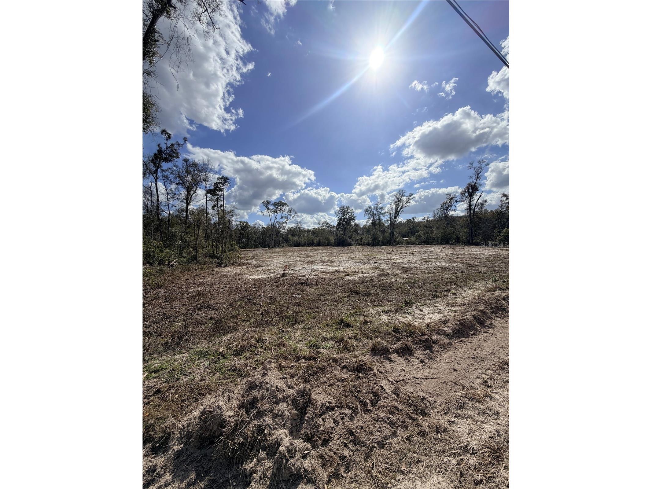 163 NE 159th Avenue Old Town FL 32680 TB8483279 image3