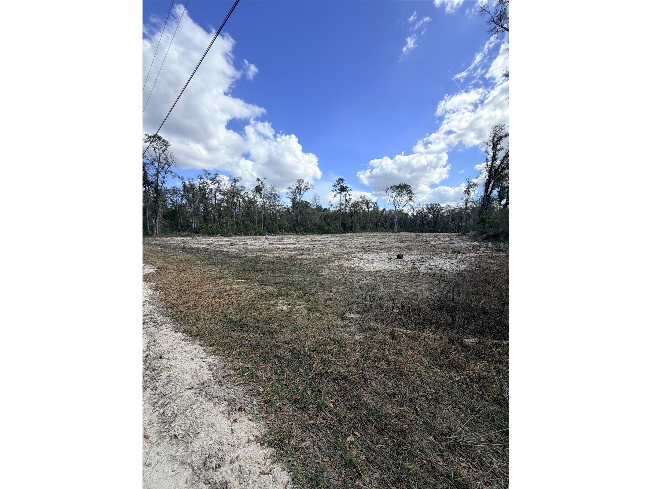 163 NE 159th Avenue Old Town FL 32680 TB8483279 image4