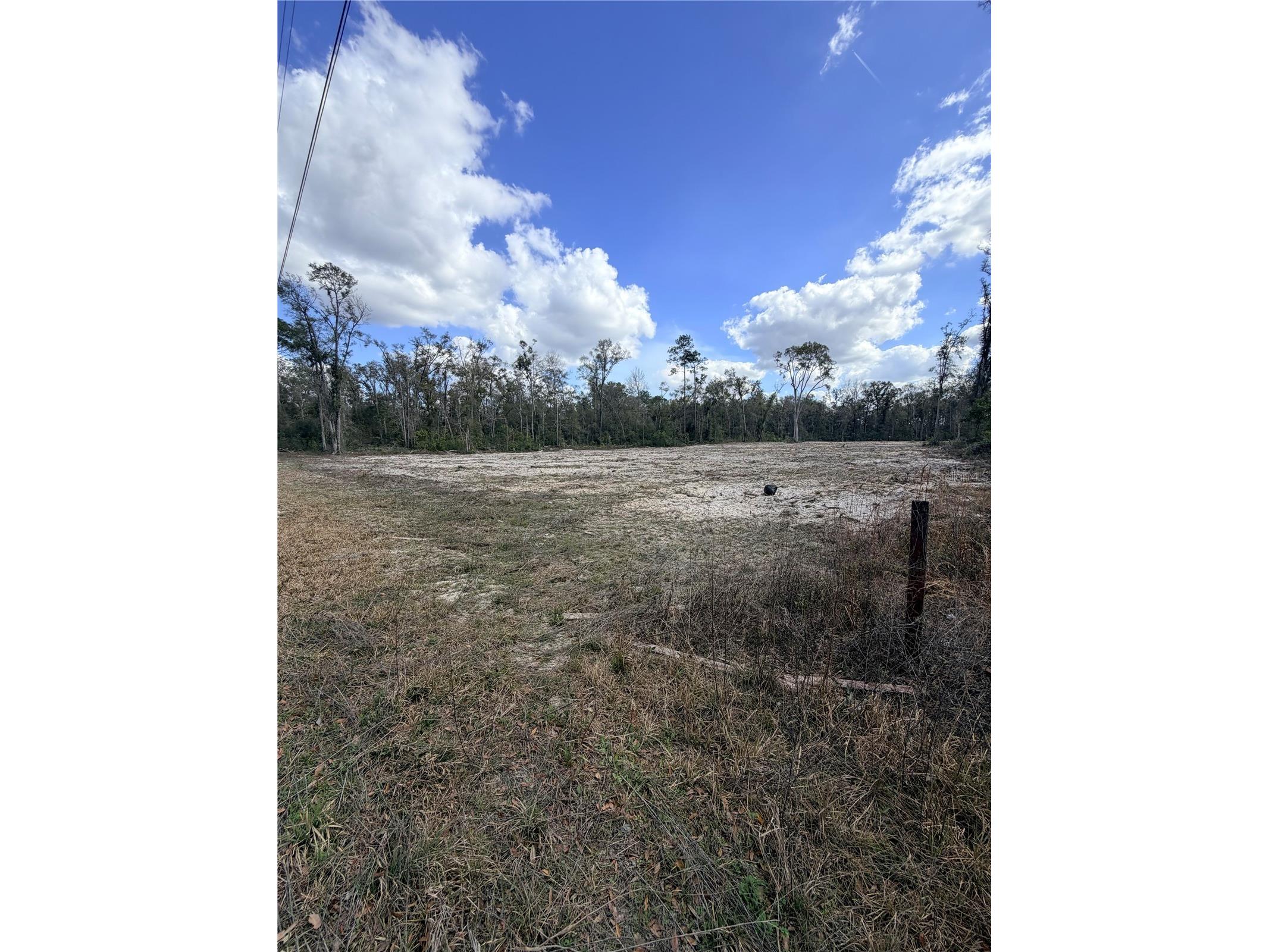 163 NE 159th Avenue Old Town FL 32680 TB8483279 image5