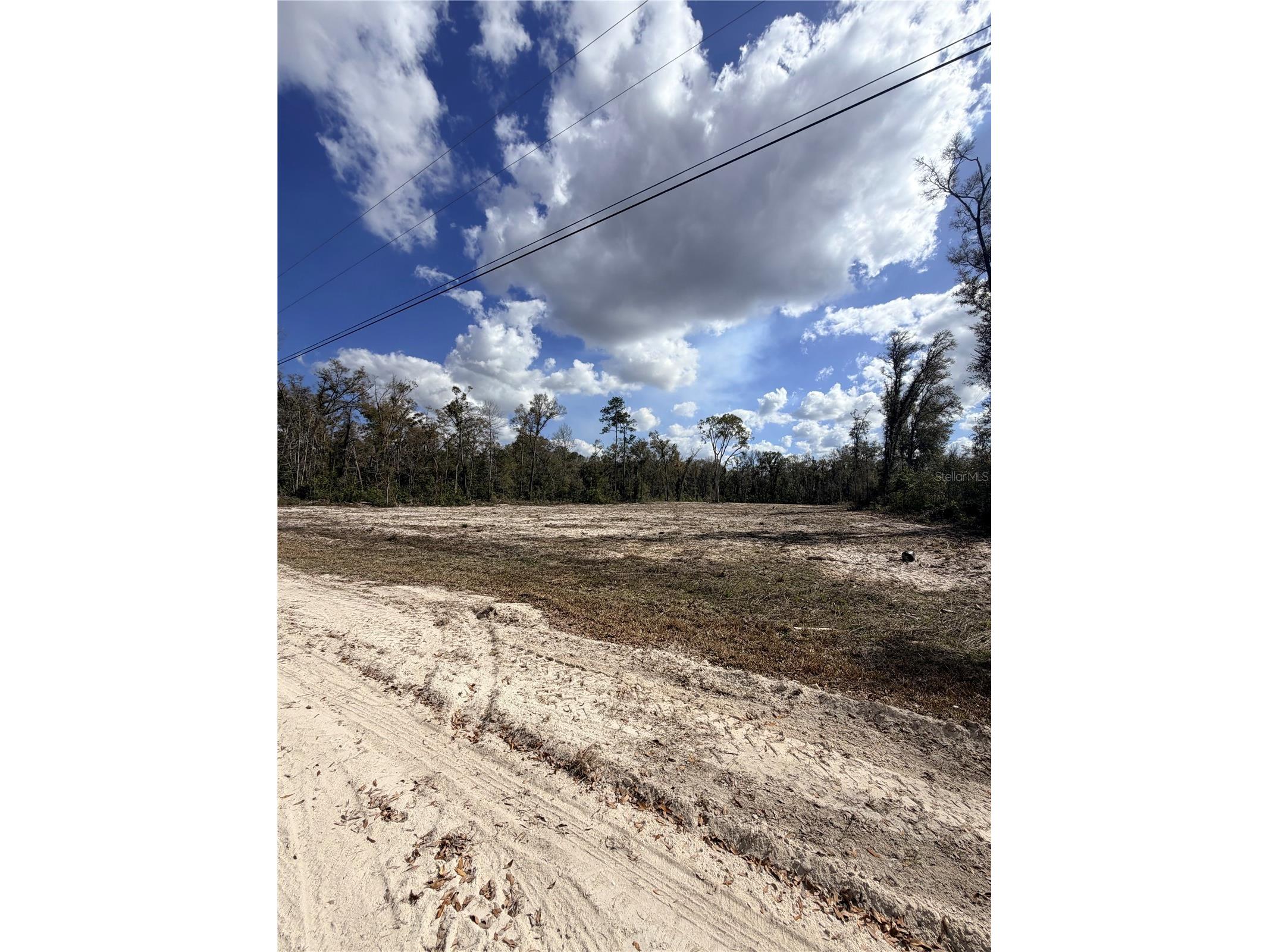 163 NE 159th Avenue Old Town FL 32680 TB8483279 image6