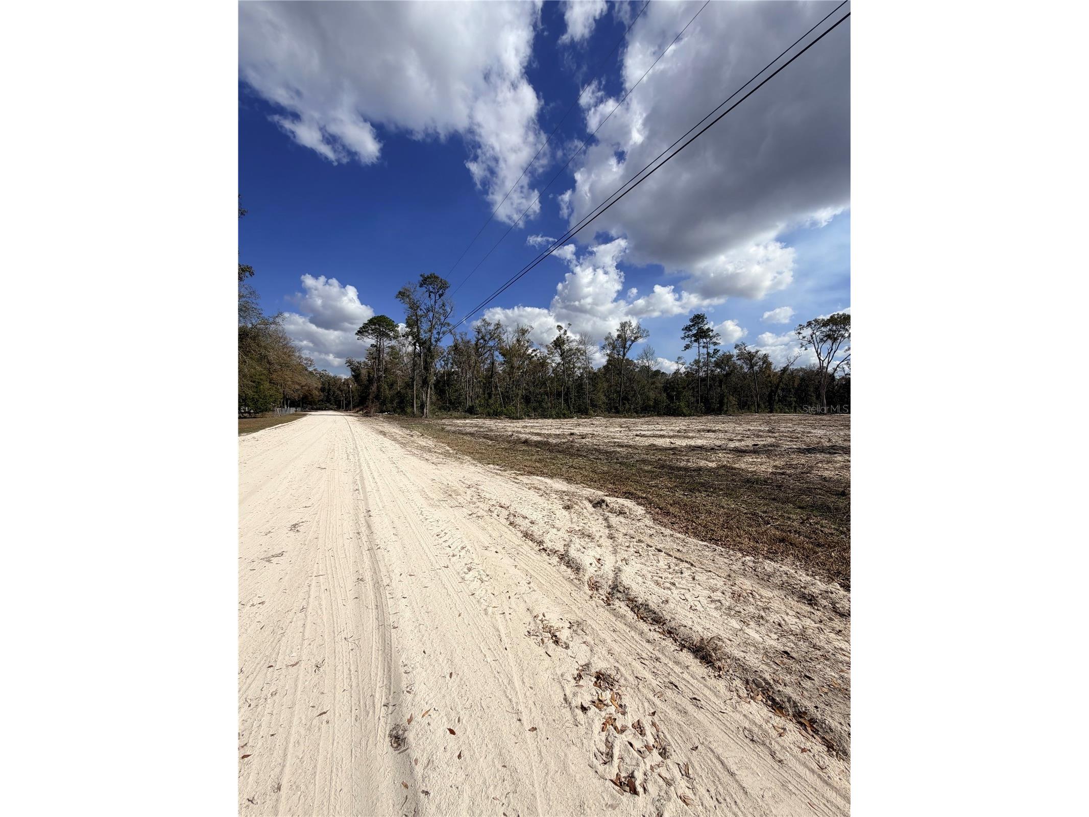 163 NE 159th Avenue Old Town FL 32680 TB8483279 image7