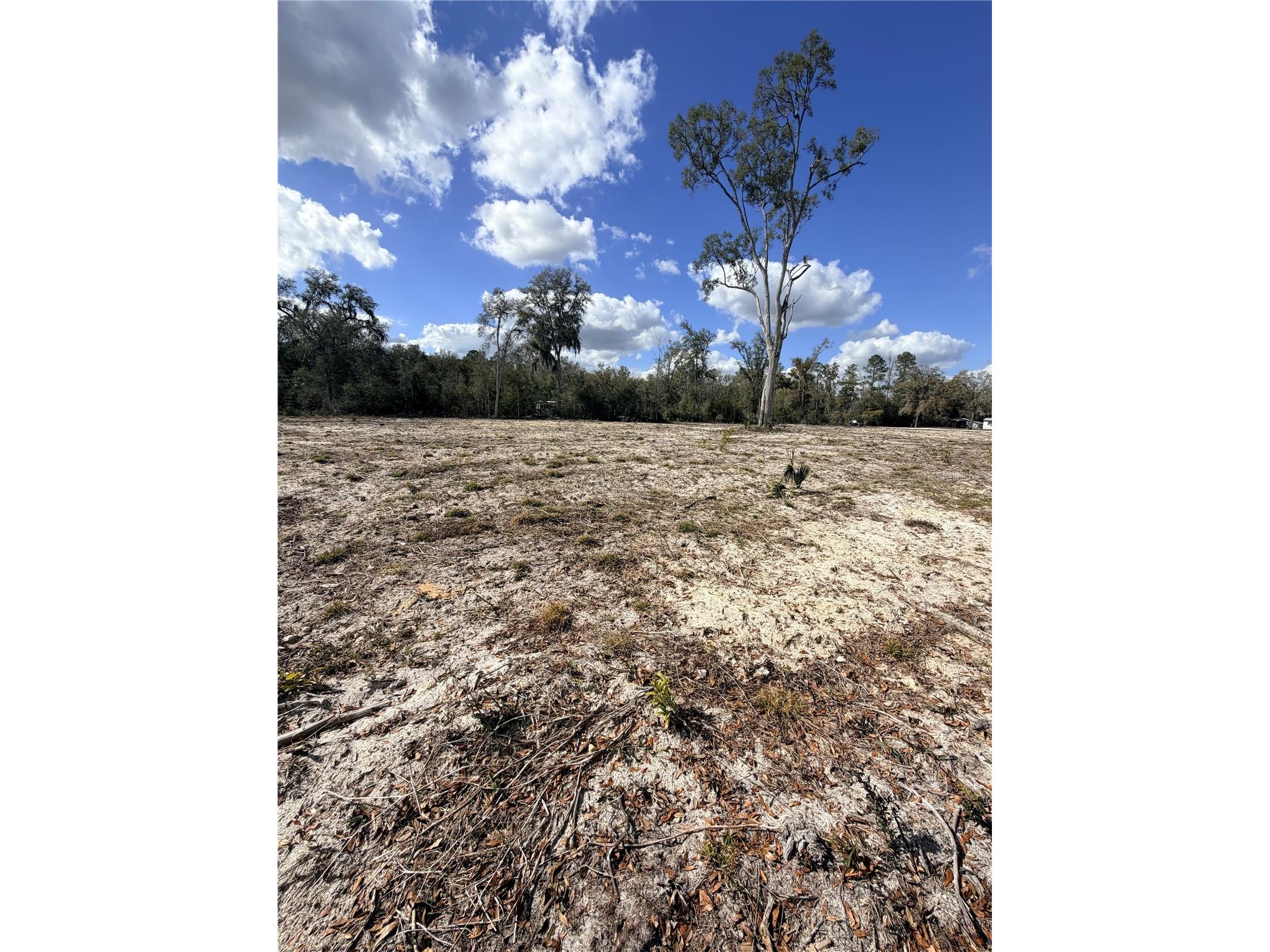 163 NE 159th Avenue Old Town FL 32680 TB8483279 image8