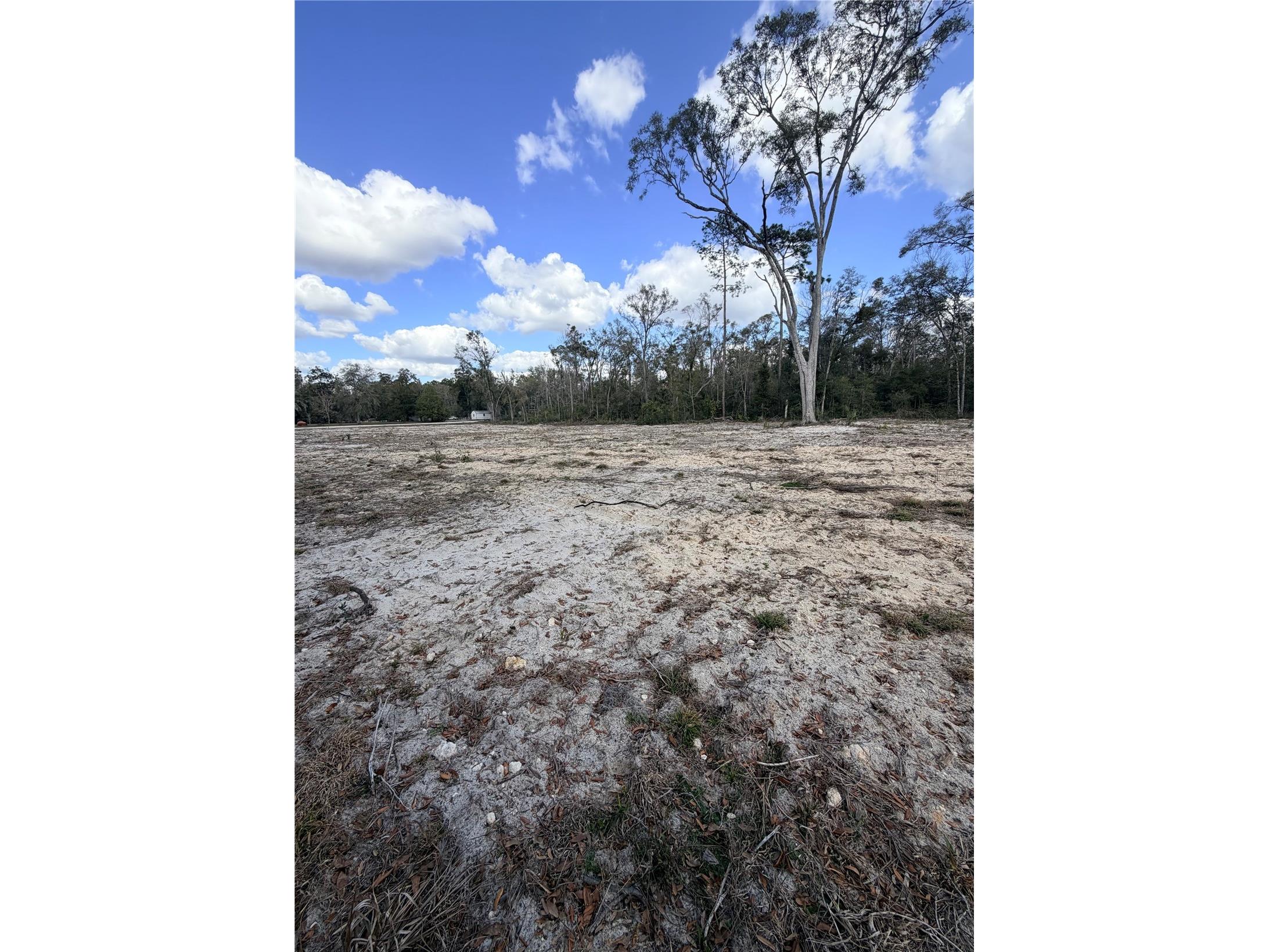 163 NE 159th Avenue Old Town FL 32680 TB8483279 image9