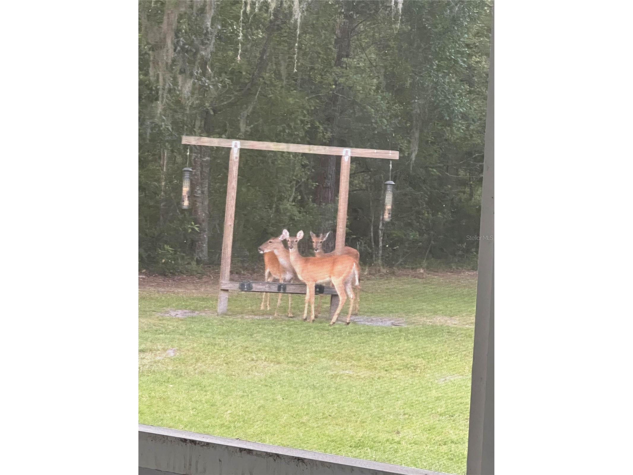 163 NW Amber Court Lake City FL 32055 GC536542 image78