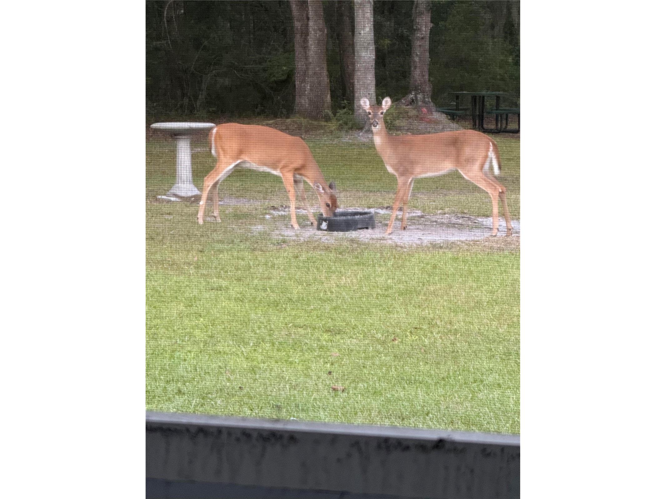 163 NW Amber Court Lake City FL 32055 GC536542 image79