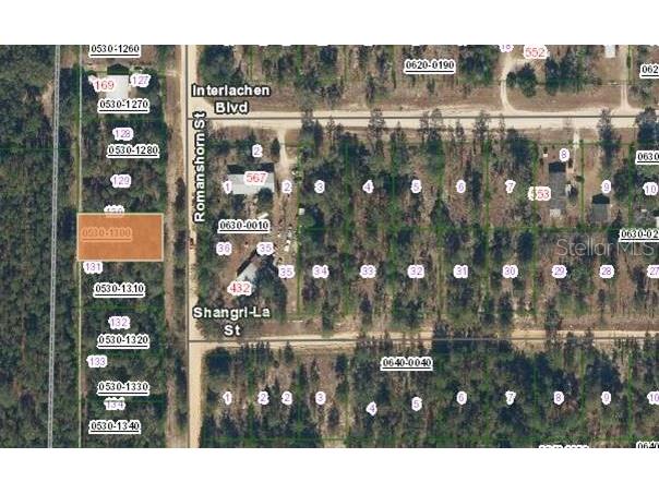 163 Romanshorn Street Interlachen FL 32148 OM699775 image1