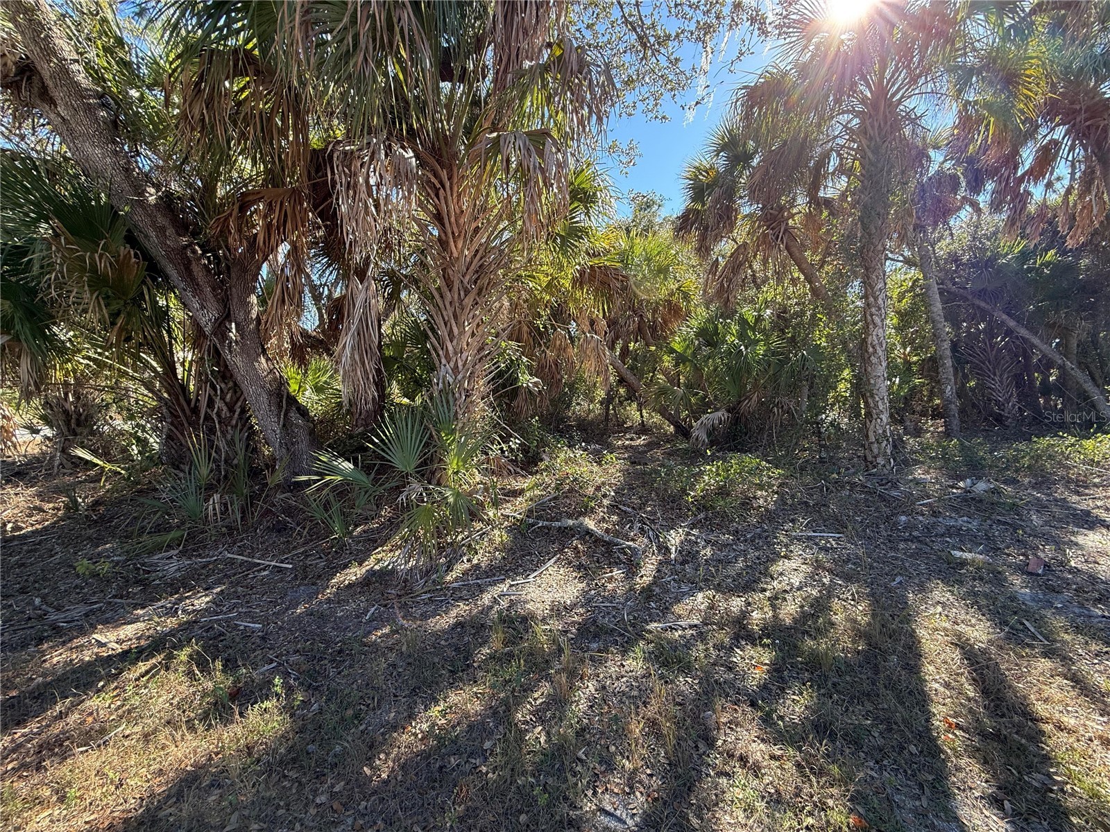 163 Statler Street Port Charlotte FL 33954 O6377867 image9