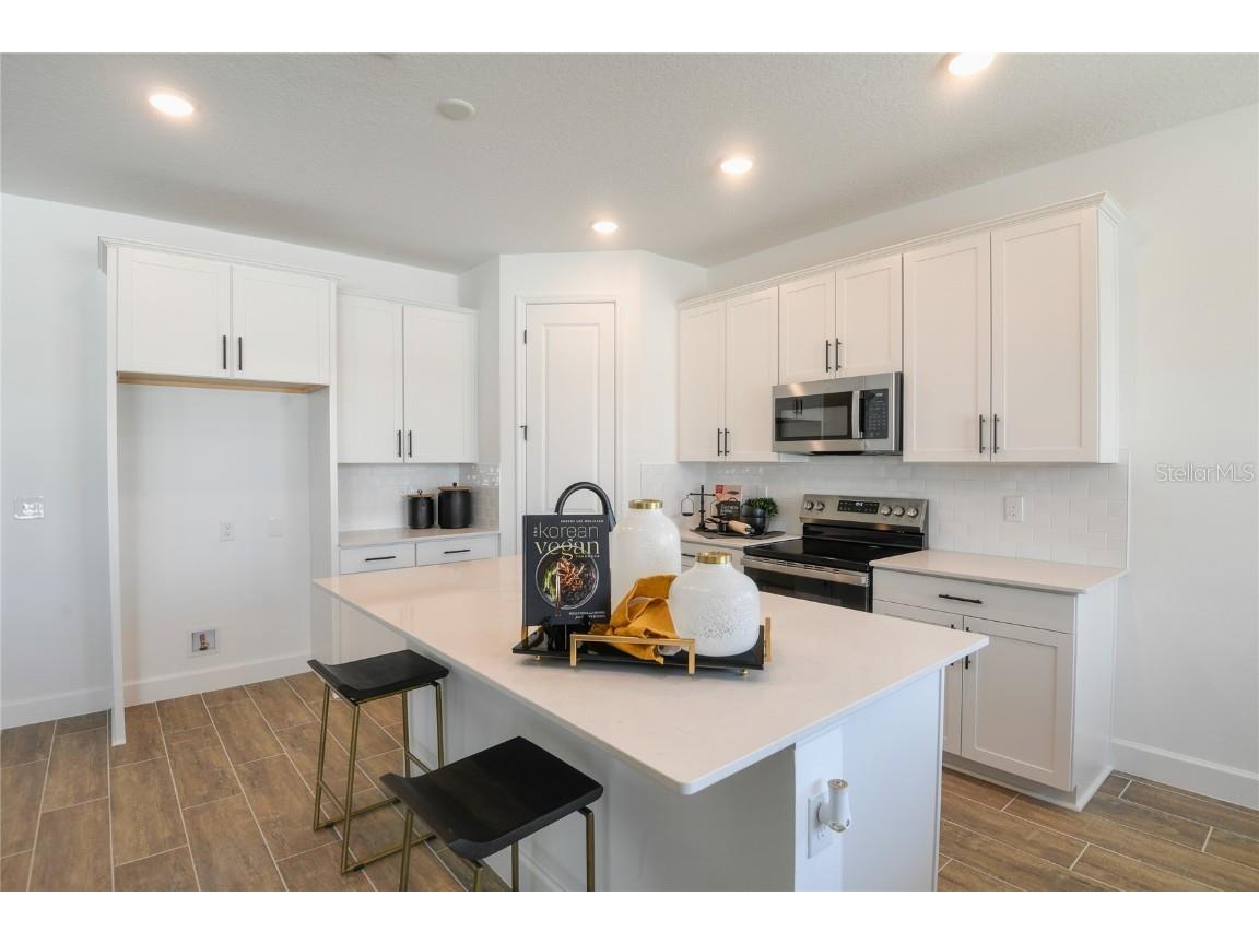 163 Waterstone Loop Tavares FL 32778 S5127711 image5