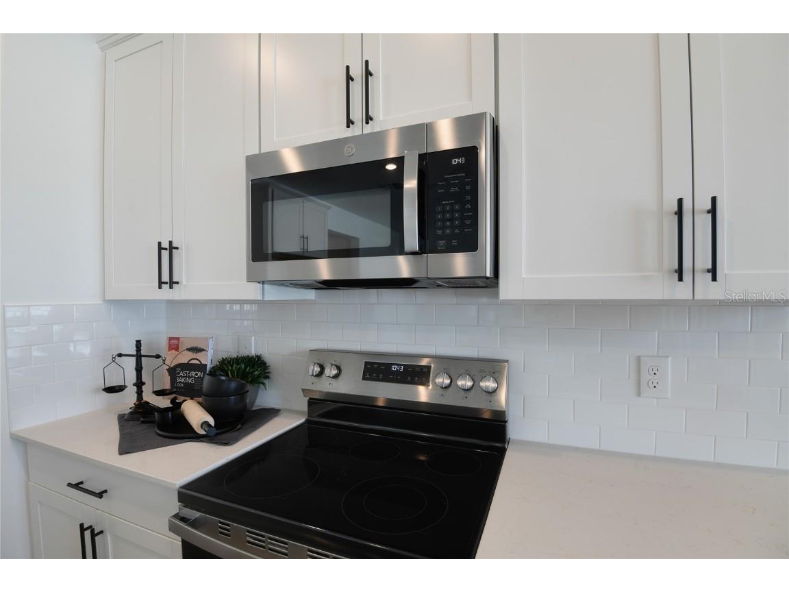 163 Waterstone Loop Tavares FL 32778 S5127711 image6