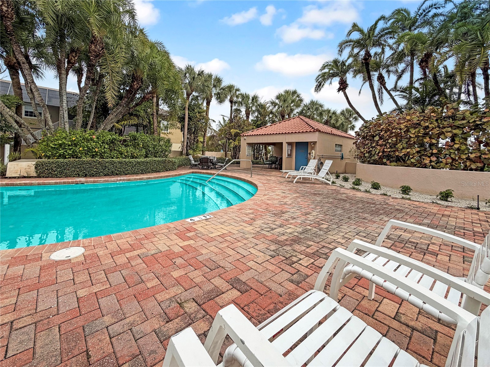 1630 Royal Palm Drive S #A Saint Petersburg FL 33707 O6386969 image48