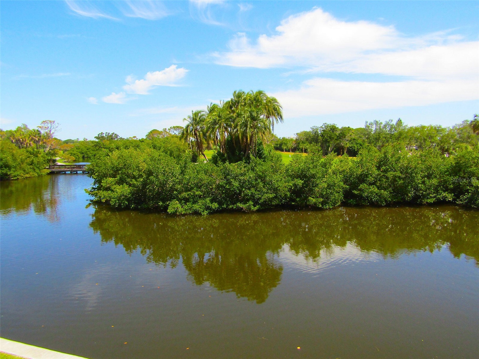 1630 Royal Palm Drive S #A Saint Petersburg FL 33707 O6386969 image6