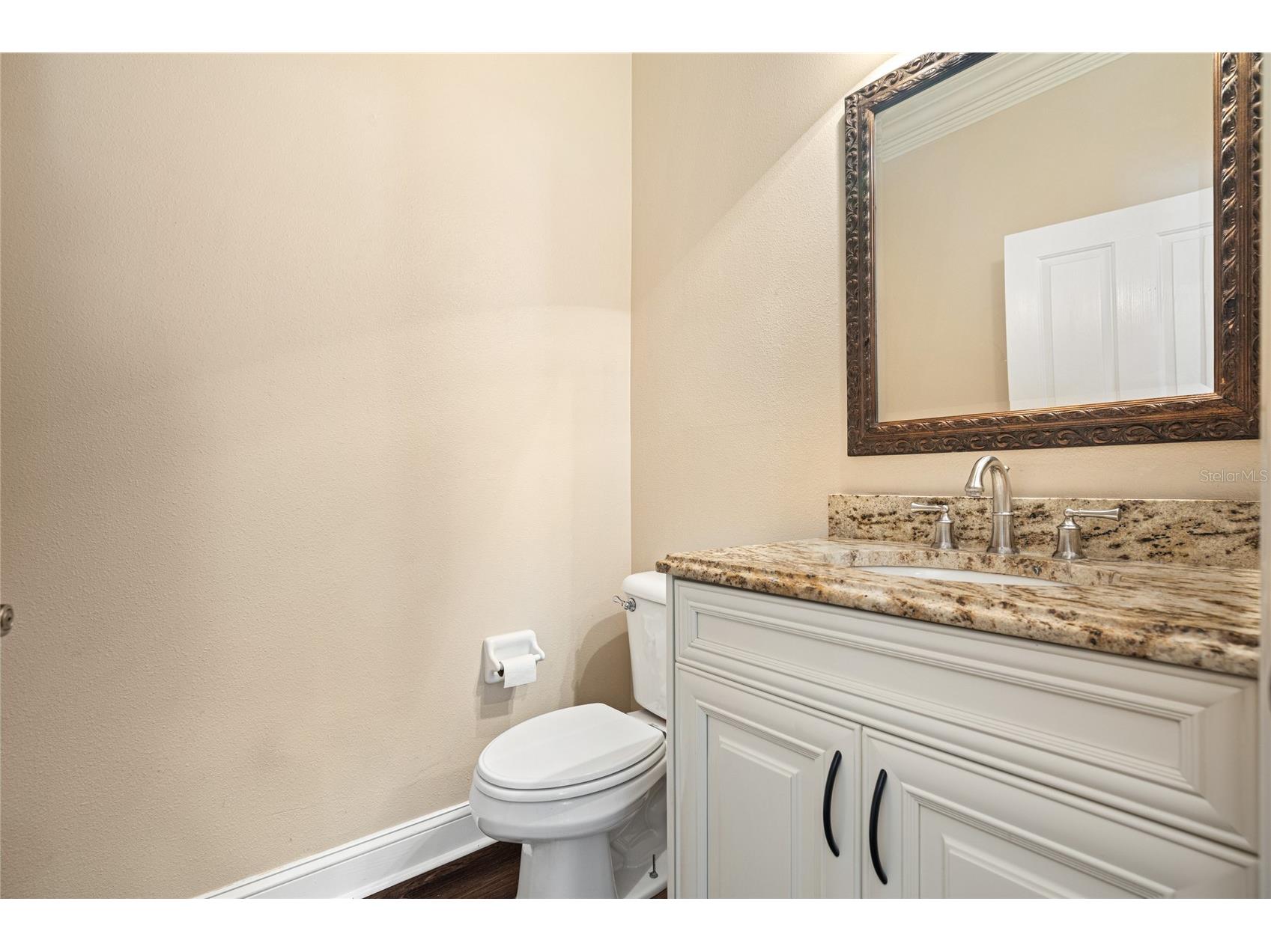 1630 Tawnyberry Court Trinity FL 34655 TB8527307 image13