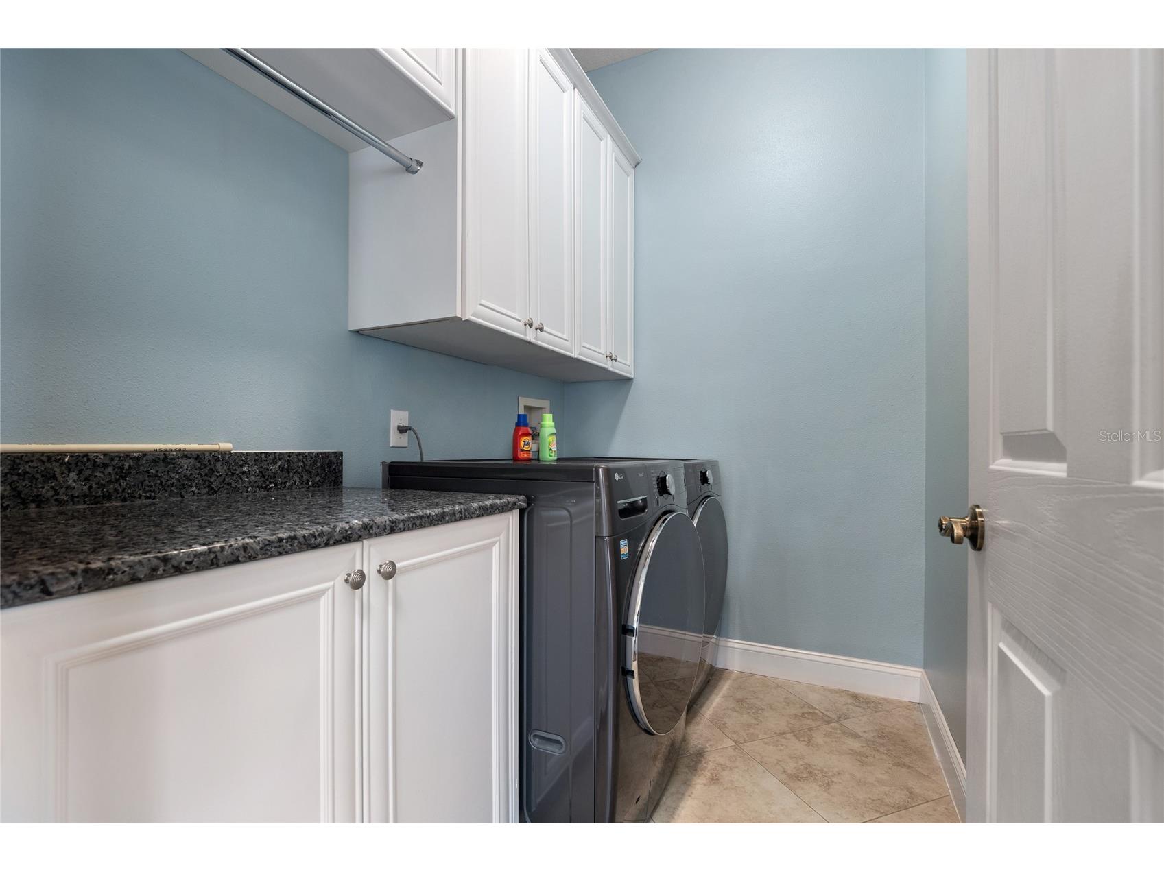 1630 Tawnyberry Court Trinity FL 34655 TB8527307 image22