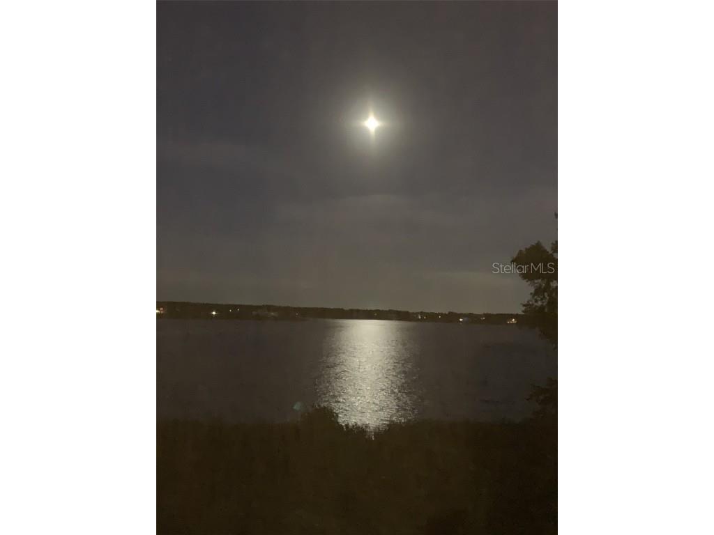 16300 County Road 455 #305 Montverde FL 34756 - LAKE SIENA O6279463 image4