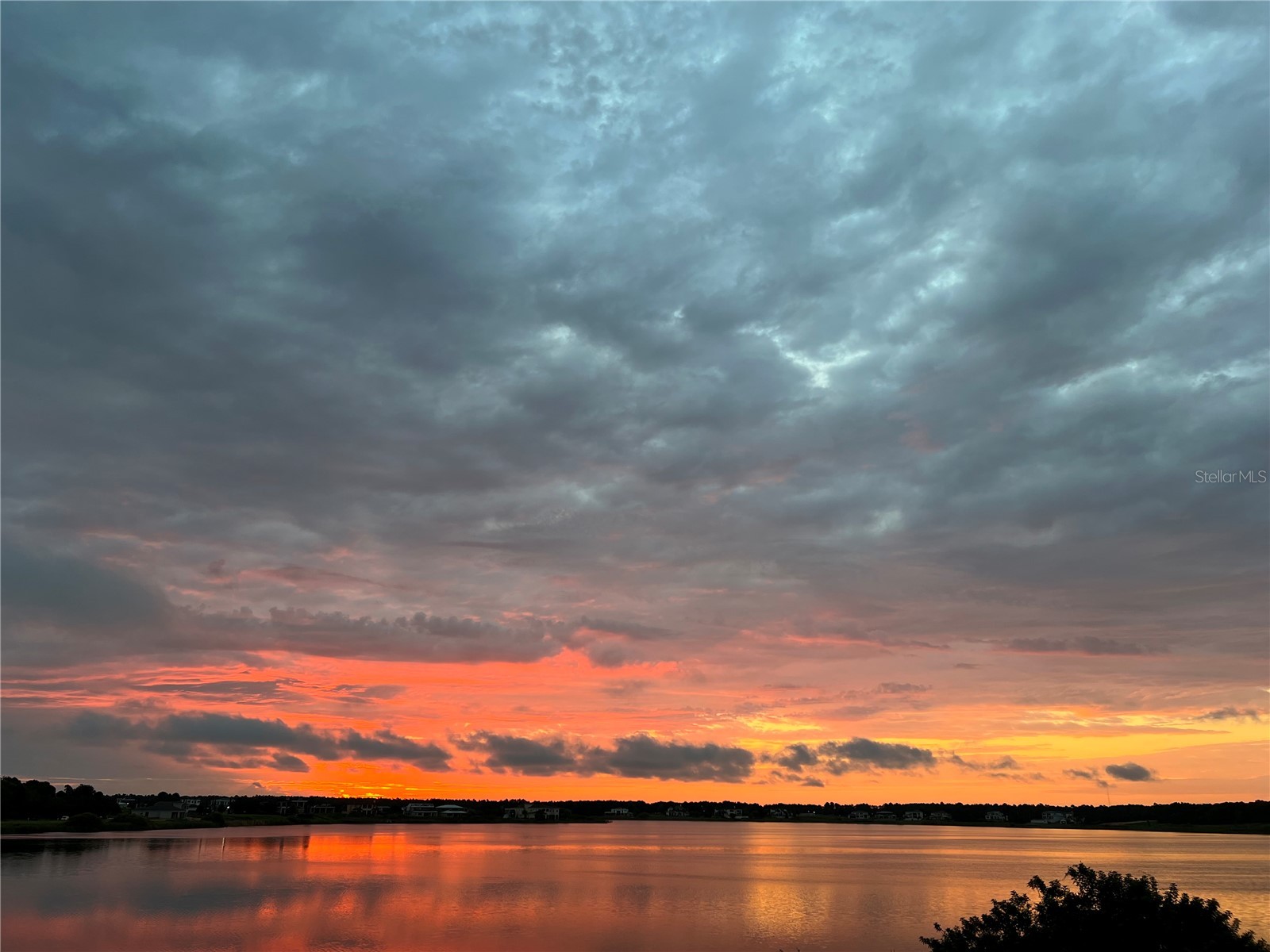 16300 County Road 455 #607 Montverde FL 34756 O6279386 image5