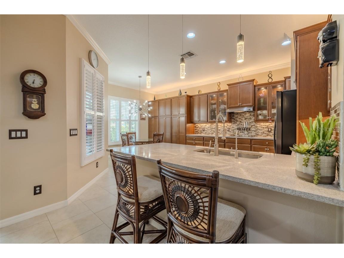 16301 Garnet Glen Place Wimauma FL 33598 TB8460648 image21