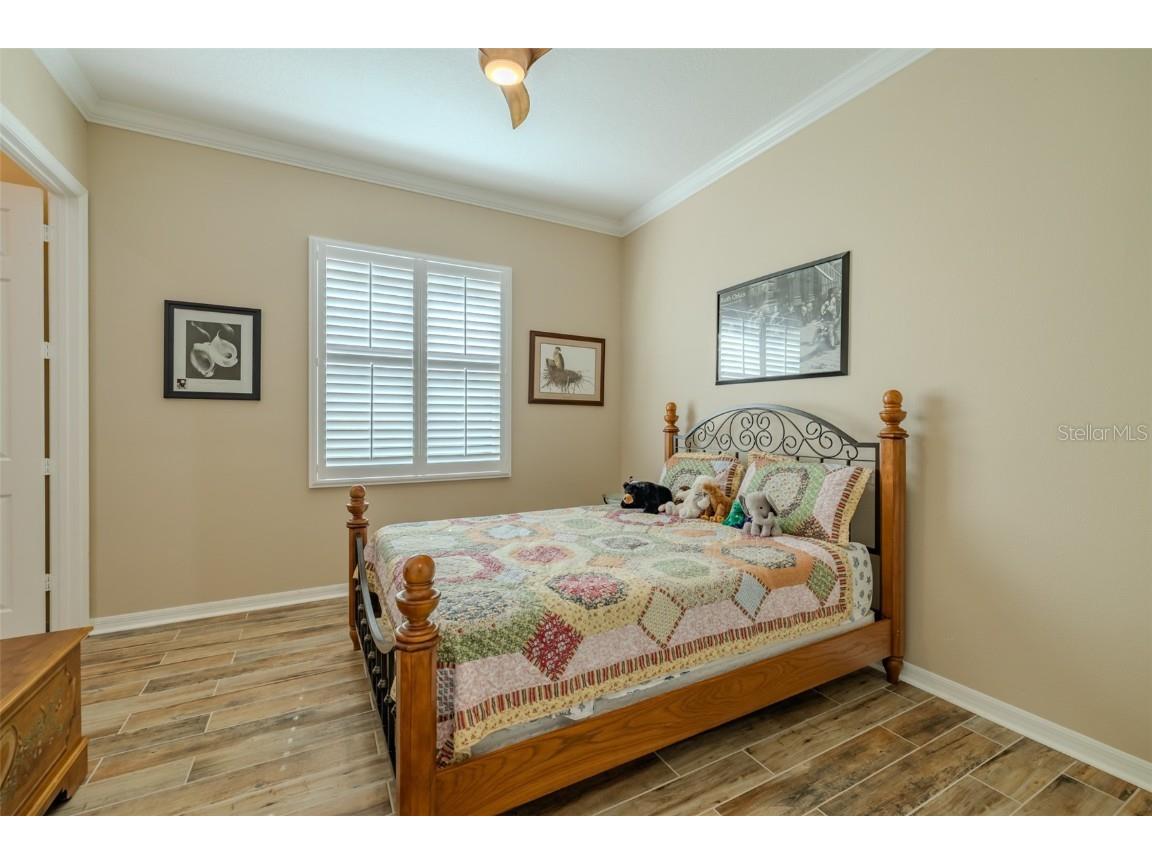 16301 Garnet Glen Place Wimauma FL 33598 TB8460648 image41