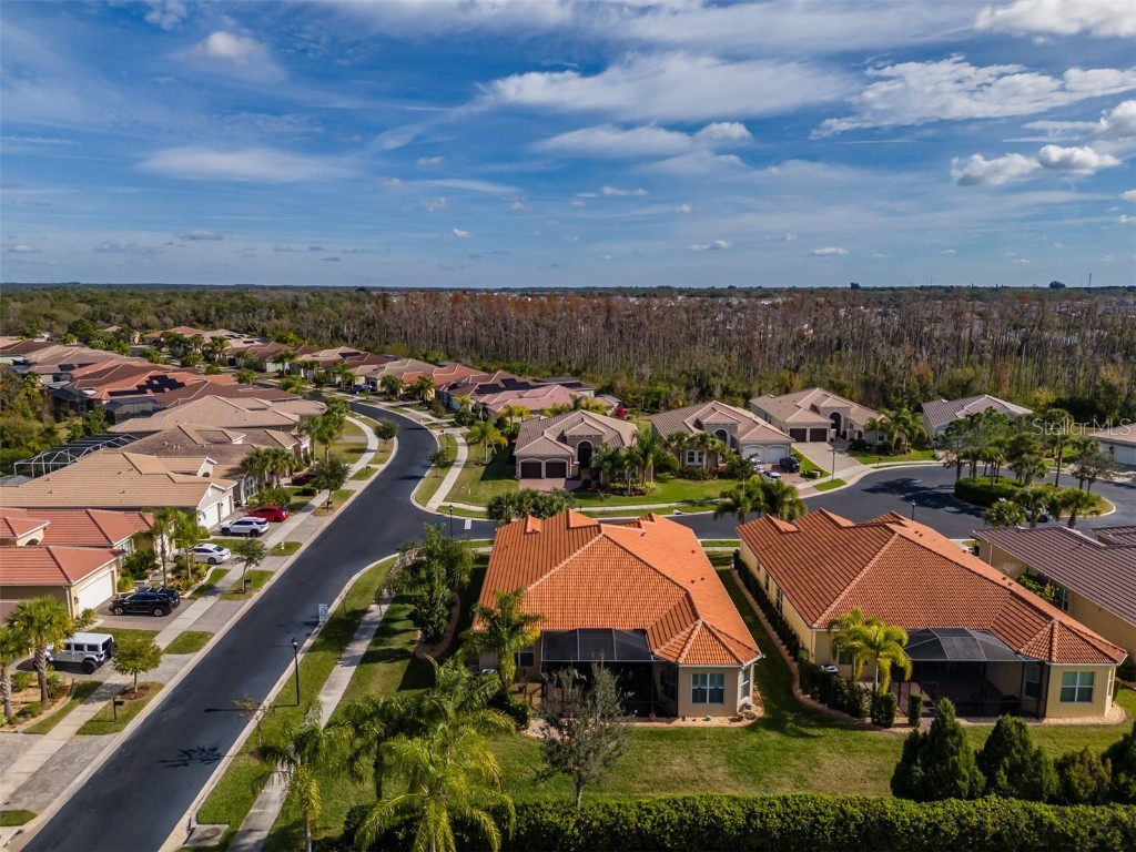 16301 Garnet Glen Place Wimauma FL 33598 TB8460648 image47