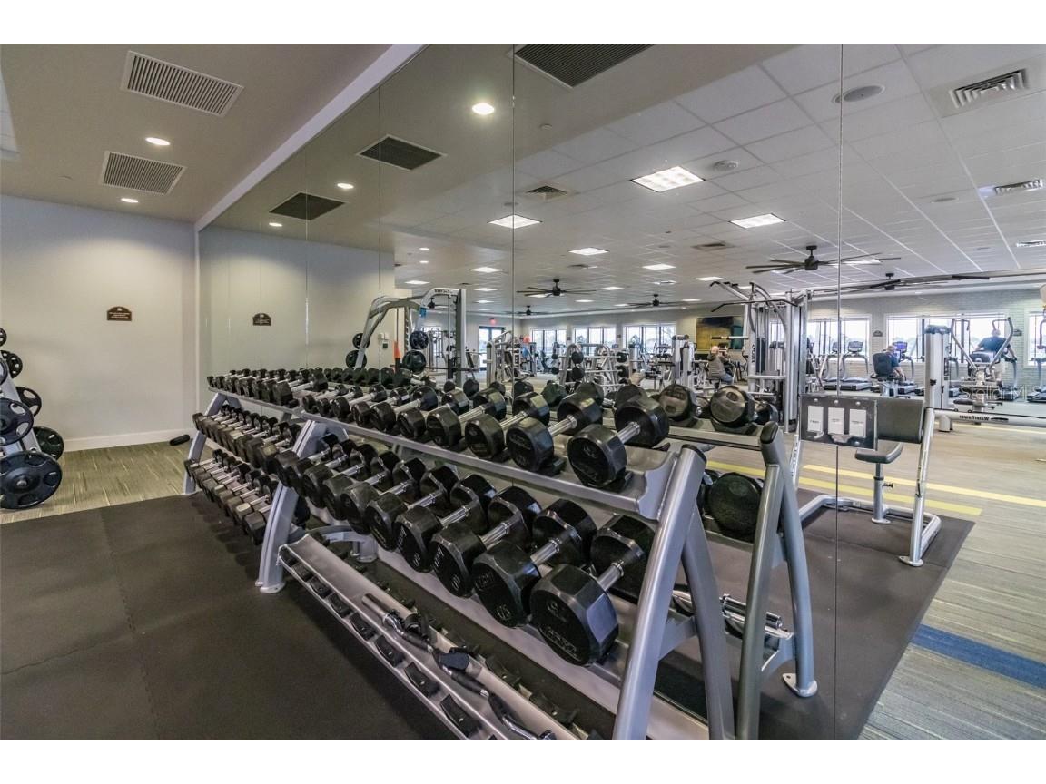 16301 Garnet Glen Place Wimauma FL 33598 TB8460648 image69