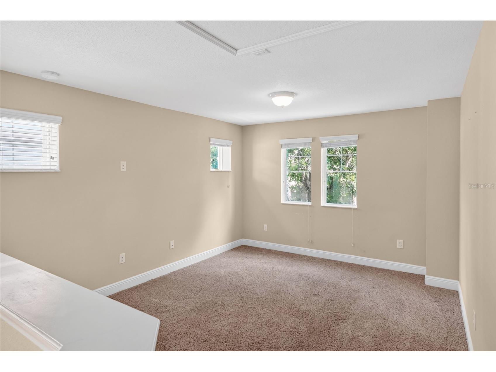 16302 Bayberry View Drive Lithia FL 33547 L4962068 image34