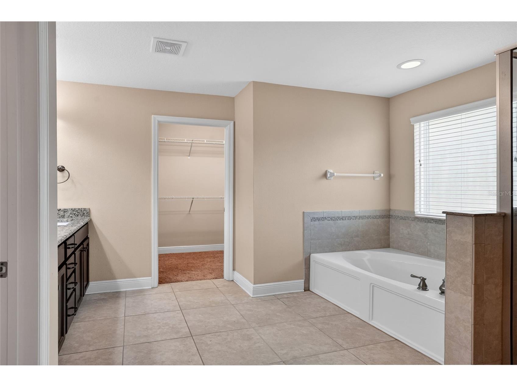 16302 Bayberry View Drive Lithia FL 33547 L4962068 image40