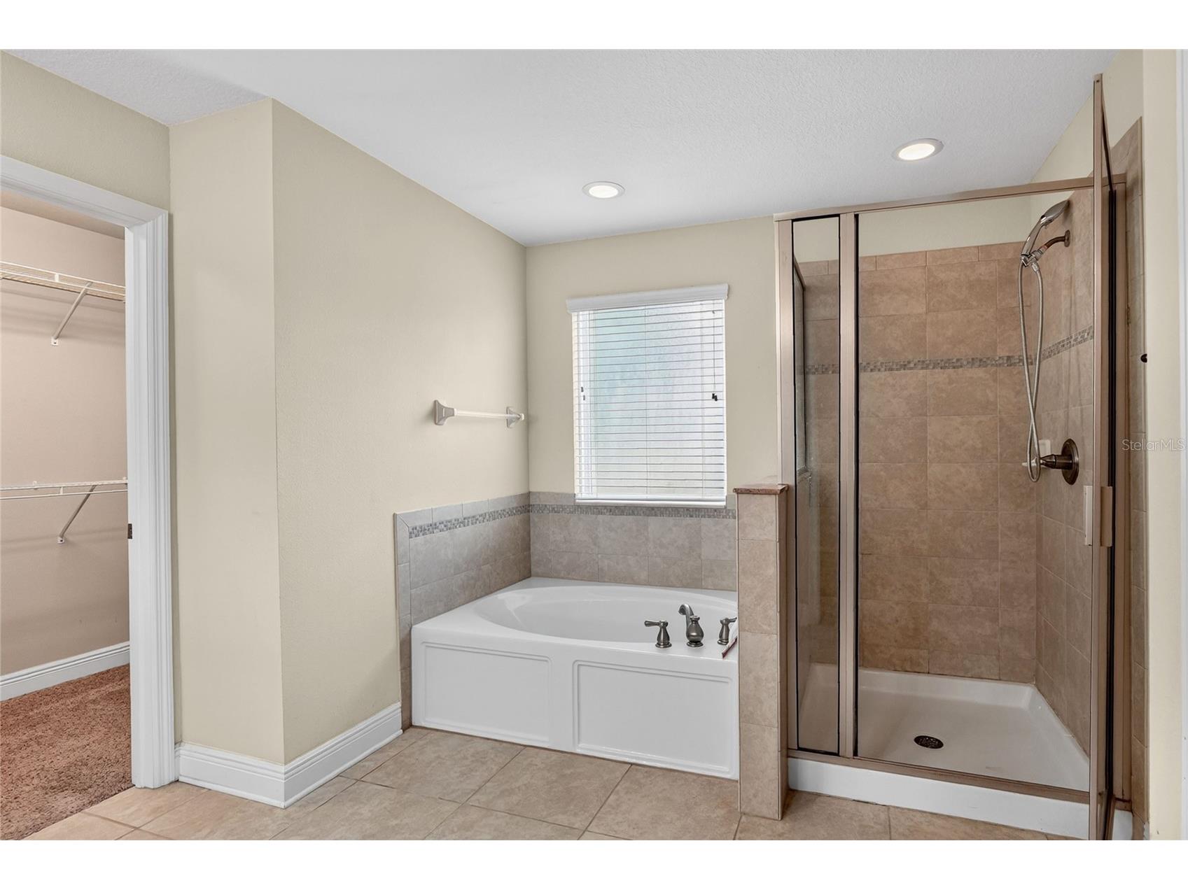 16302 Bayberry View Drive Lithia FL 33547 L4962068 image43