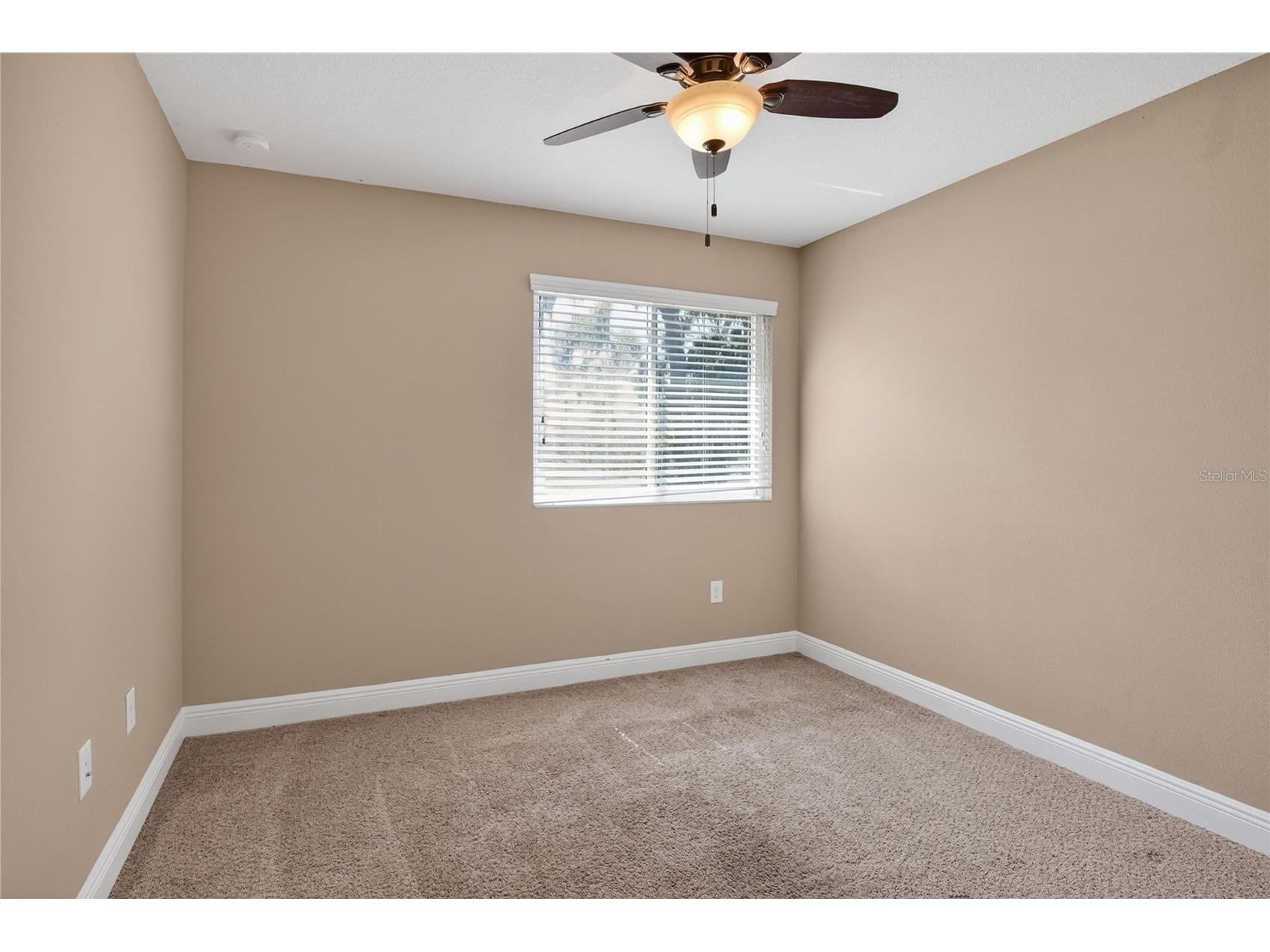 16302 Bayberry View Drive Lithia FL 33547 L4962068 image45