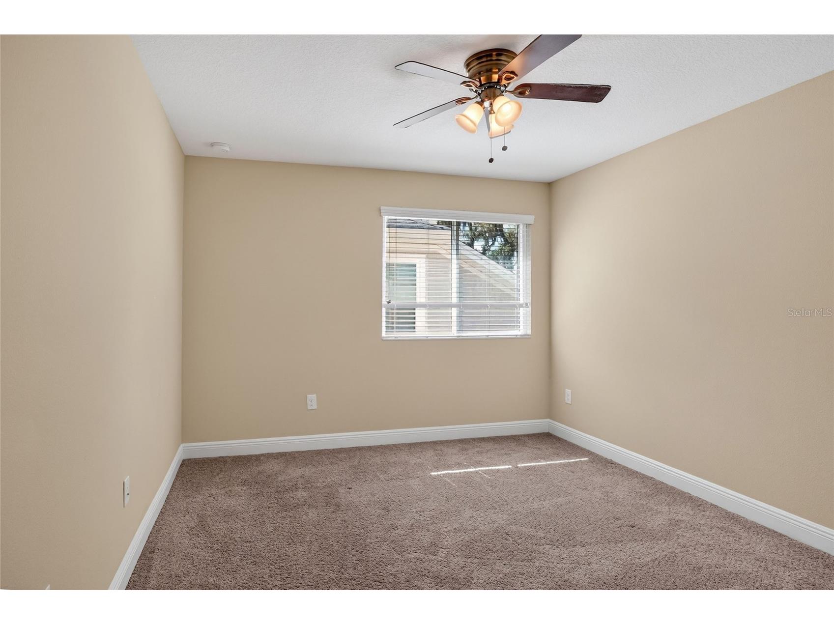 16302 Bayberry View Drive Lithia FL 33547 L4962068 image50