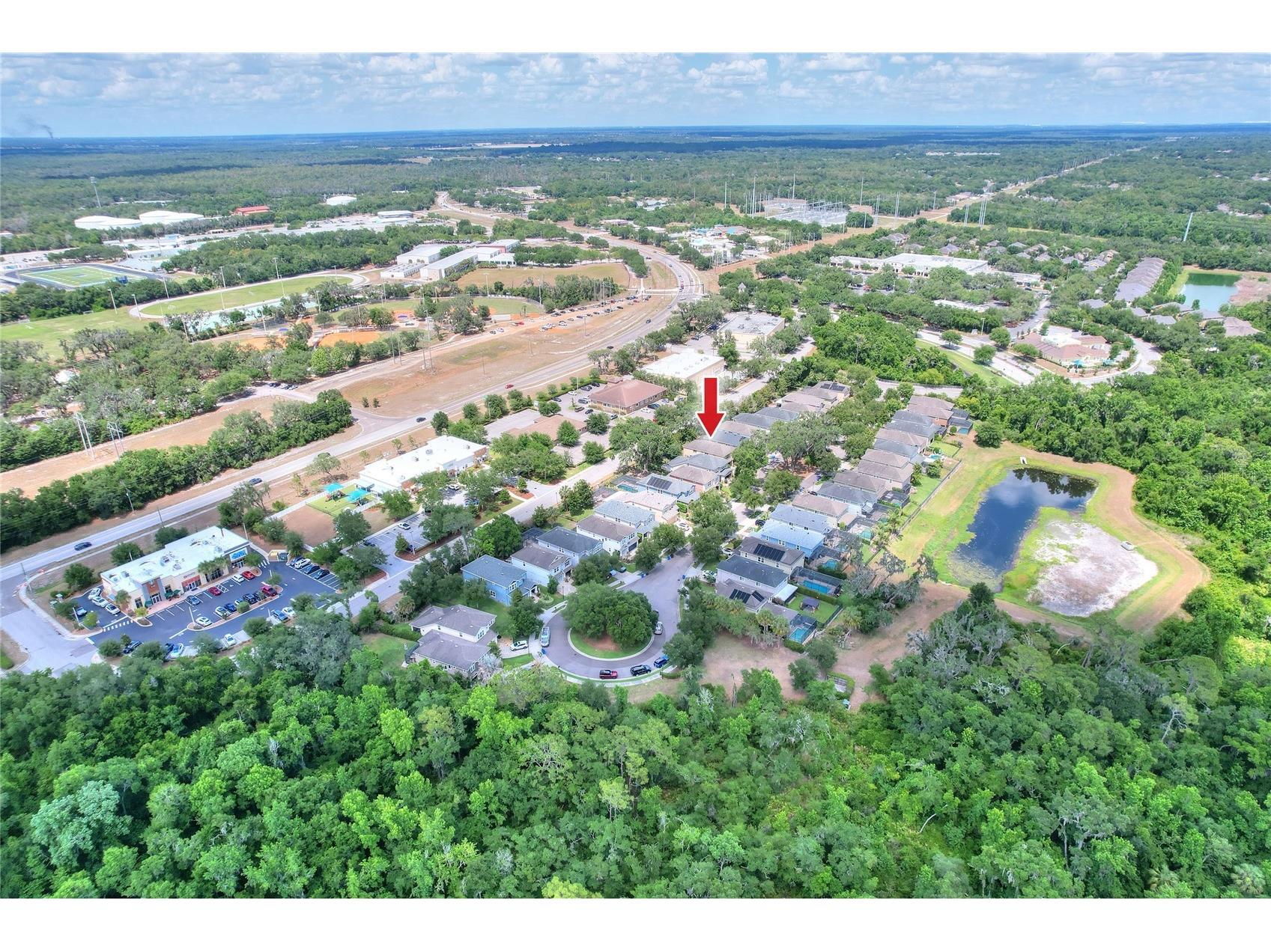16302 Bayberry View Drive Lithia FL 33547 L4962068 image68