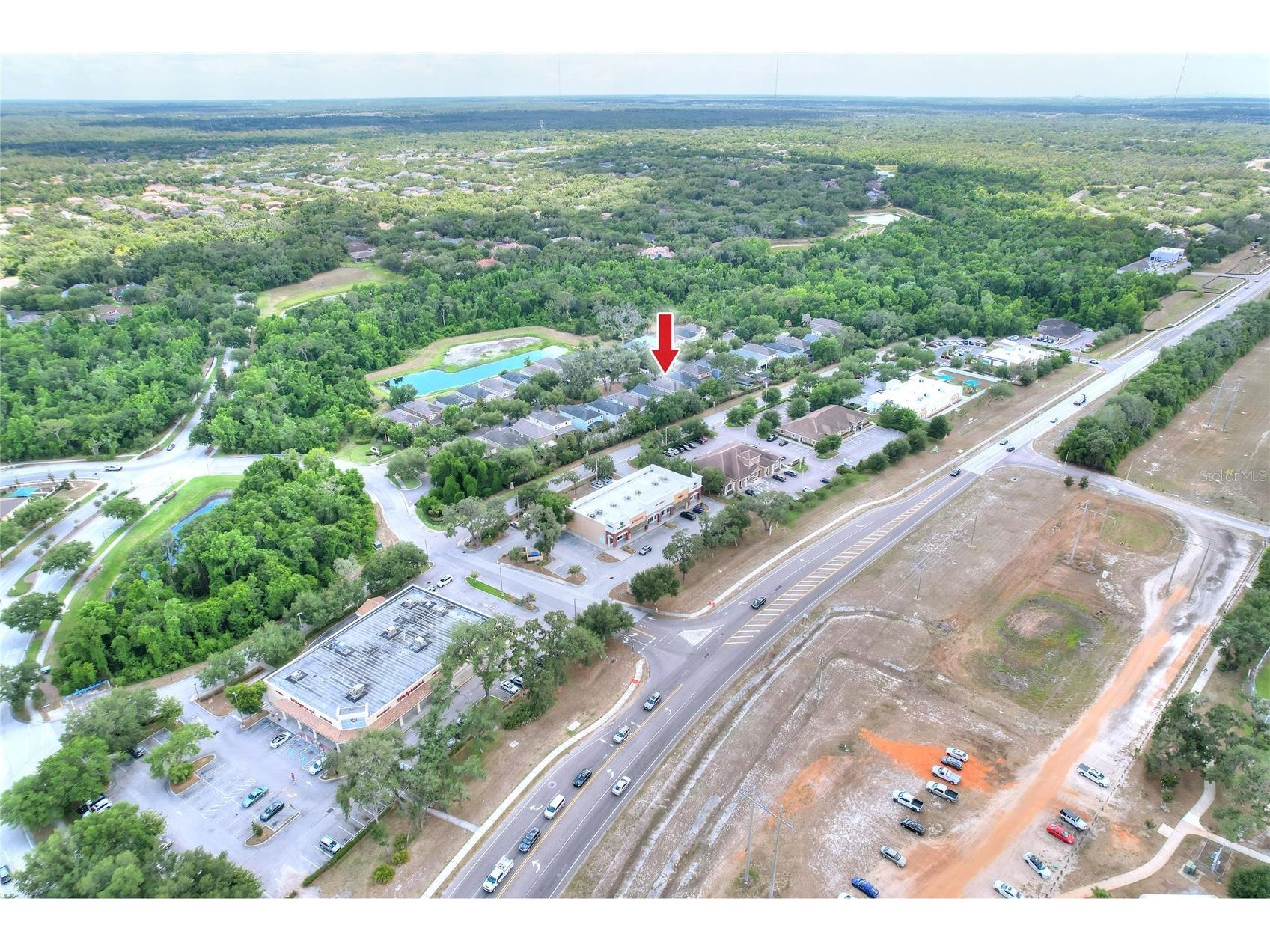 16302 Bayberry View Drive Lithia FL 33547 L4962068 image69