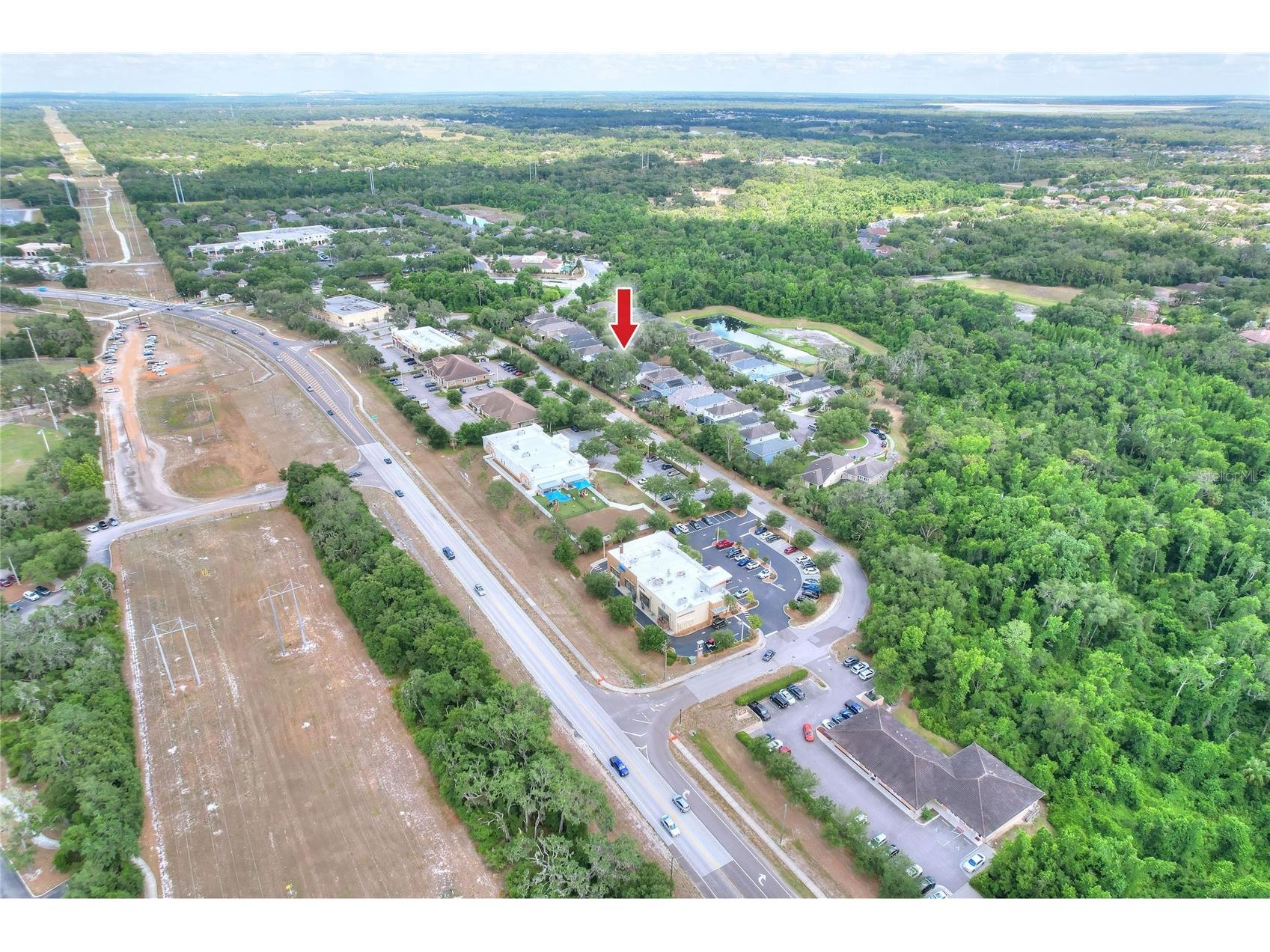 16302 Bayberry View Drive Lithia FL 33547 L4962068 image70