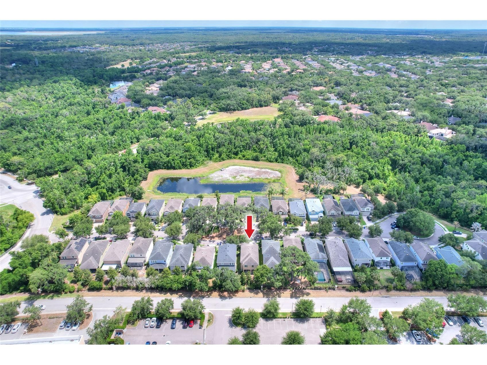 16302 Bayberry View Drive Lithia FL 33547 L4962068 image71