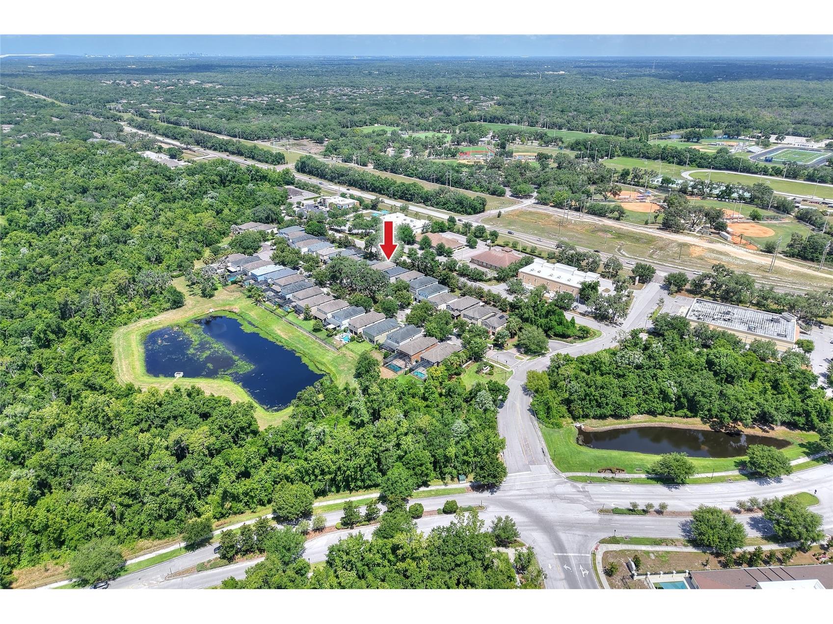 16302 Bayberry View Drive Lithia FL 33547 L4962068 image79