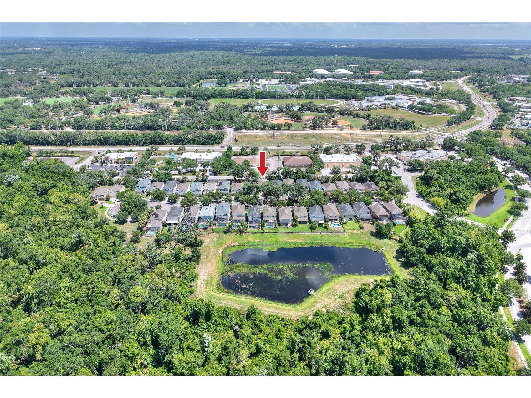 16302 Bayberry View Drive Lithia FL 33547 L4962068 image80