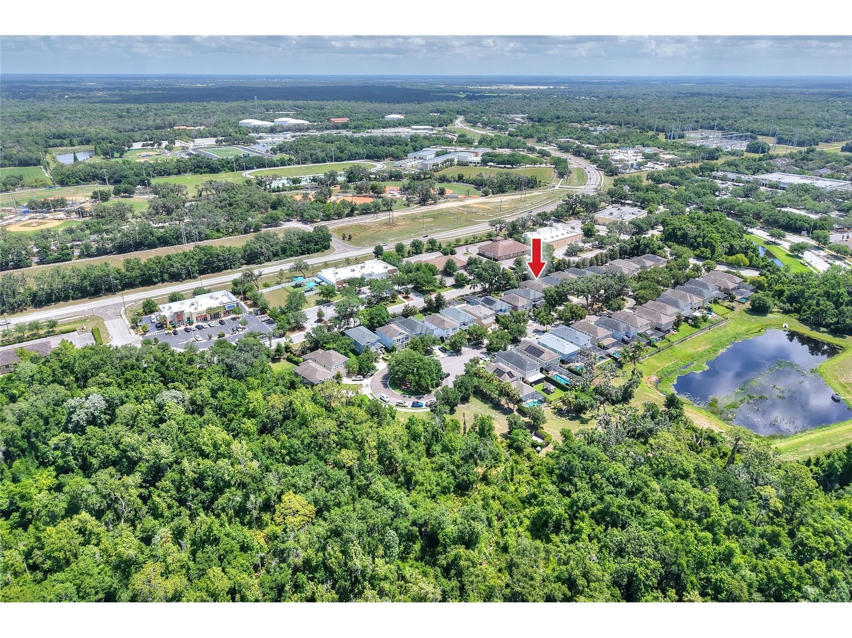 16302 Bayberry View Drive Lithia FL 33547 L4962068 image81