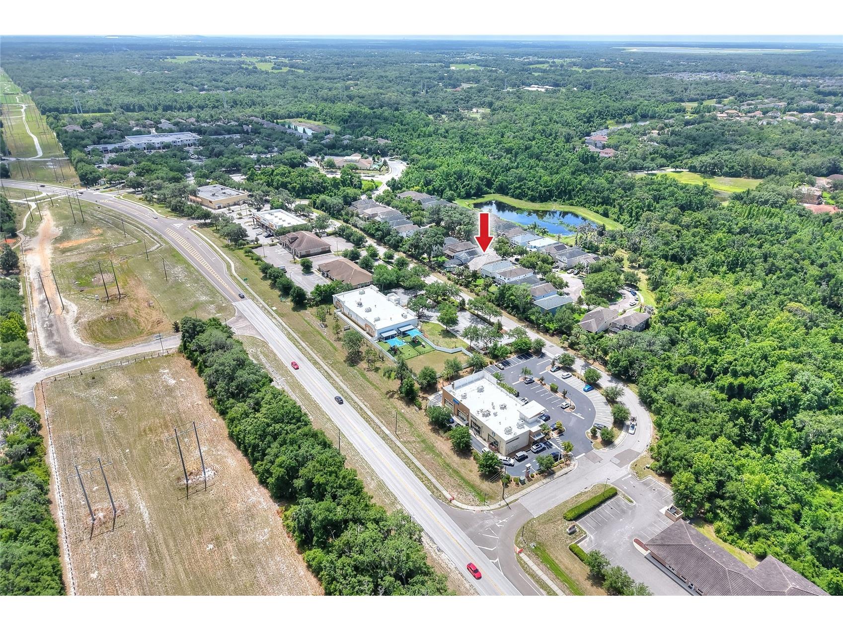 16302 Bayberry View Drive Lithia FL 33547 L4962068 image82