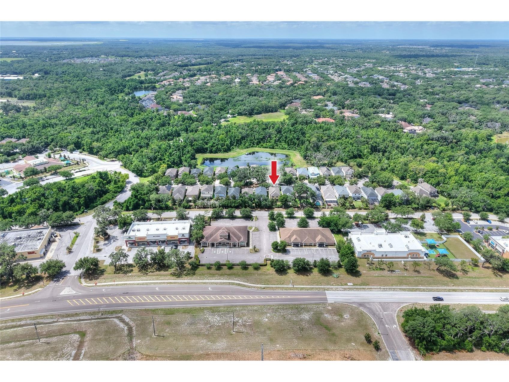 16302 Bayberry View Drive Lithia FL 33547 L4962068 image83