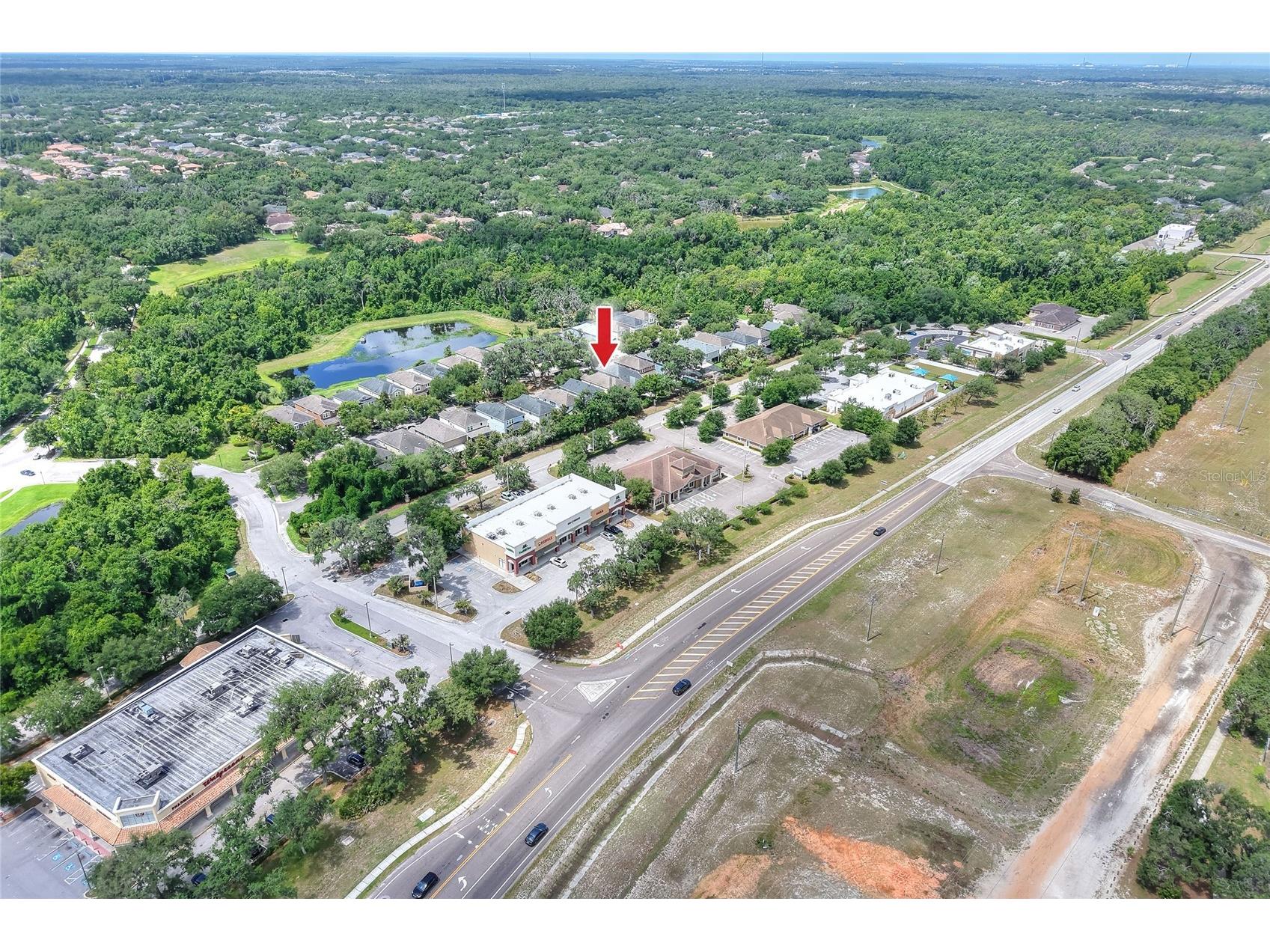 16302 Bayberry View Drive Lithia FL 33547 L4962068 image84