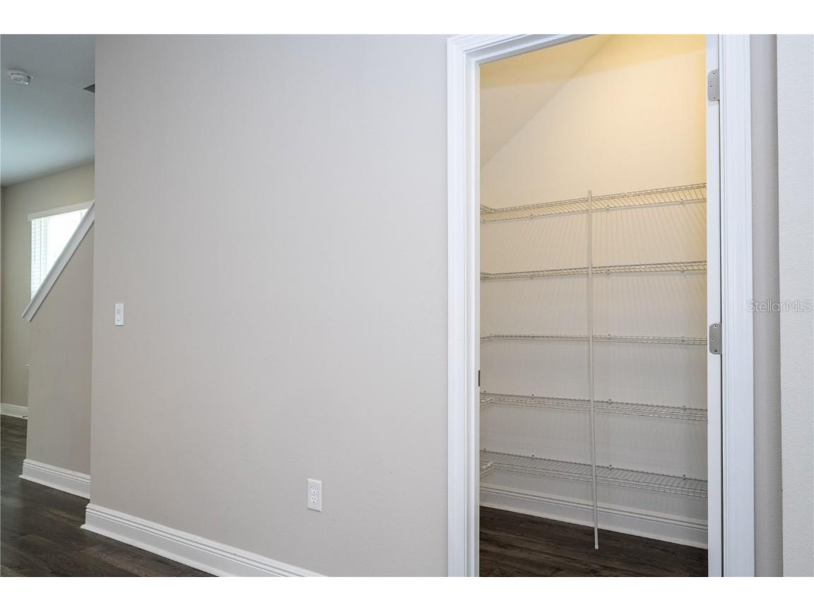 16302 Hamlin Hills Road Winter Garden FL 34787 O6331200 image17