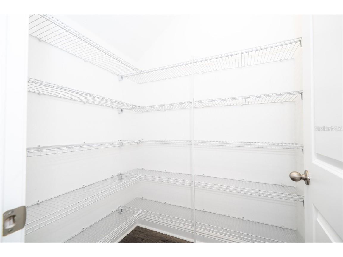 16302 Hamlin Hills Road Winter Garden FL 34787 O6331200 image18