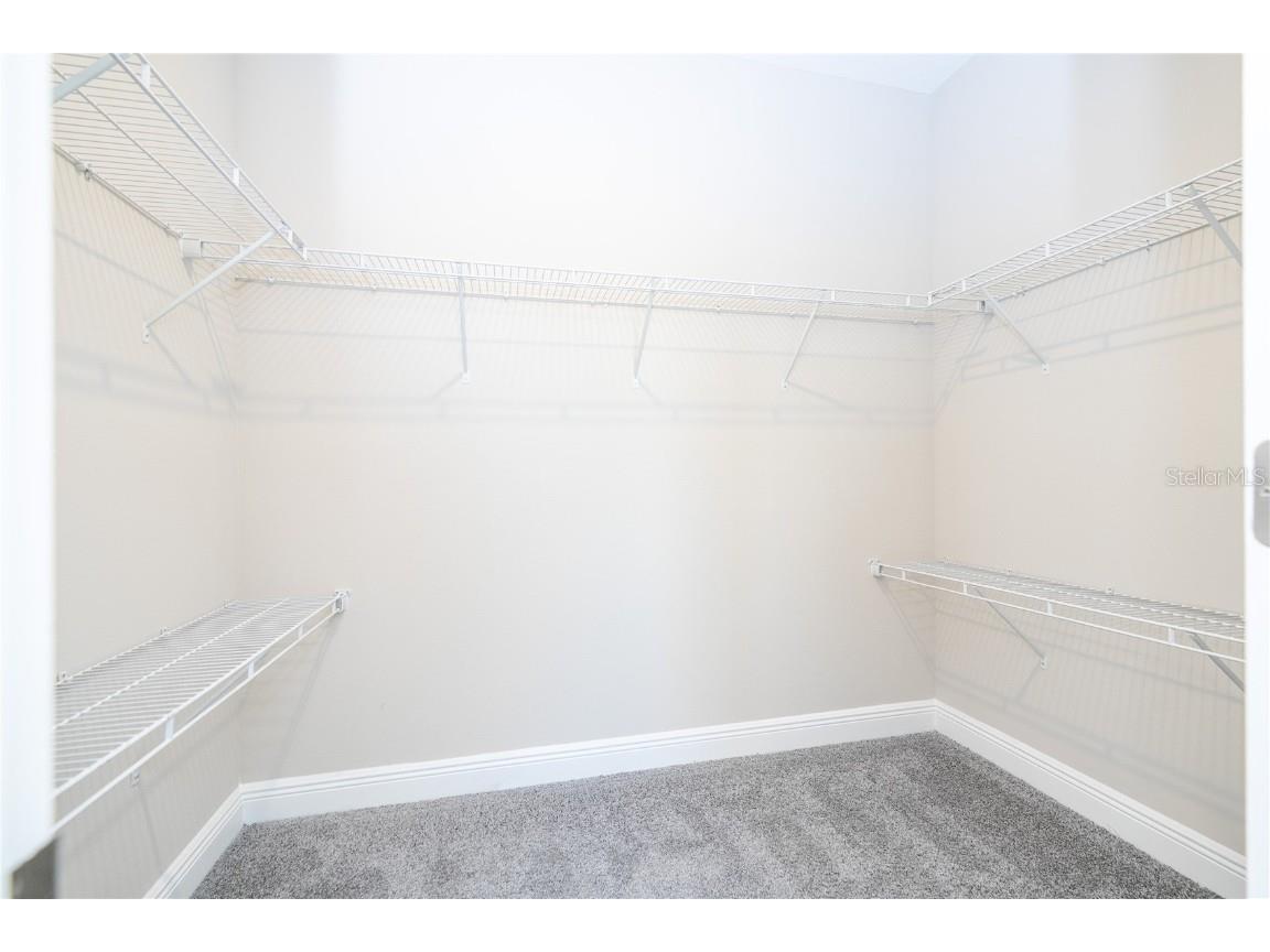 16302 Hamlin Hills Road Winter Garden FL 34787 O6331200 image46